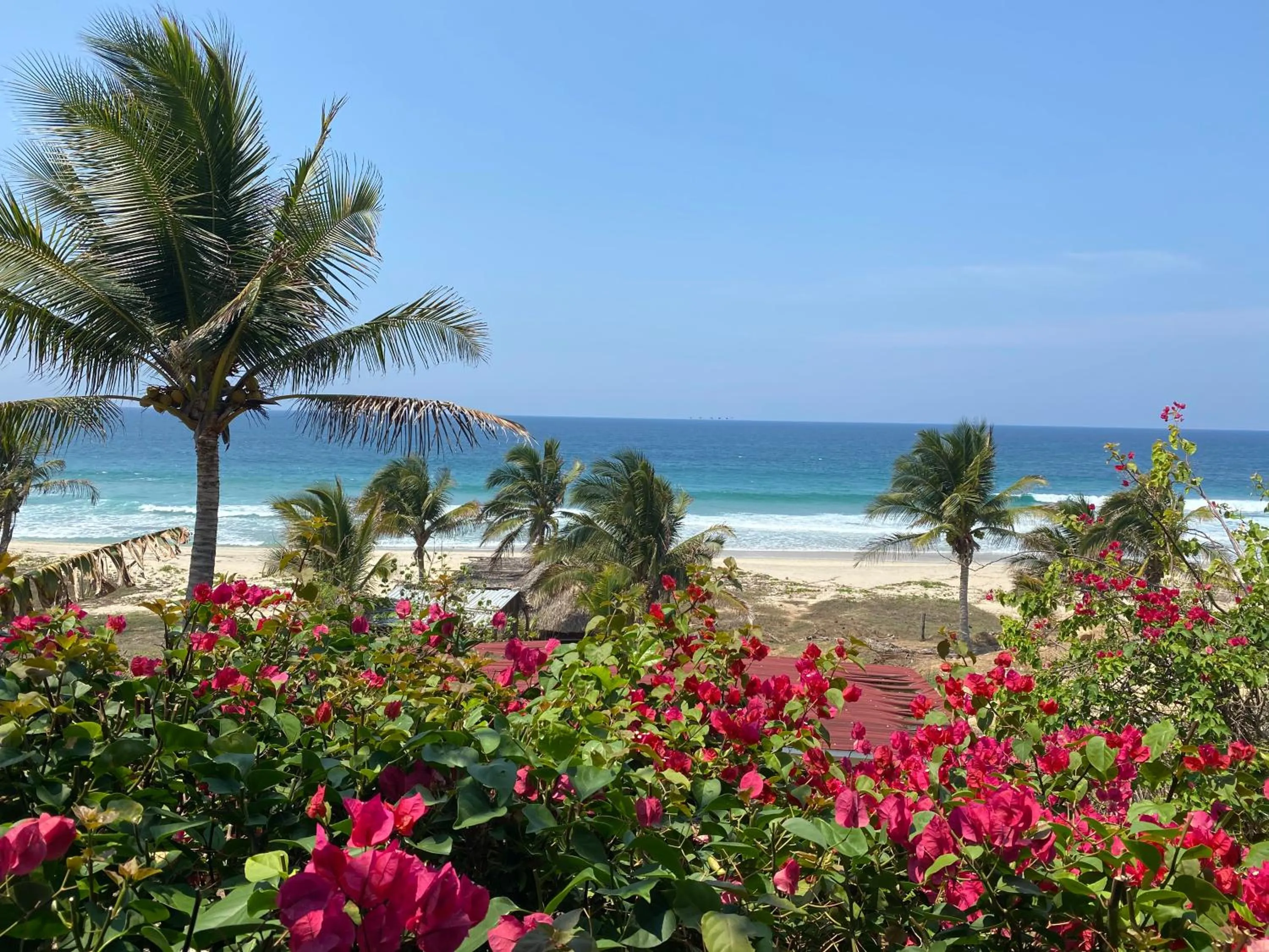Natural landscape in Beachfront Paradise Boutique Hotel