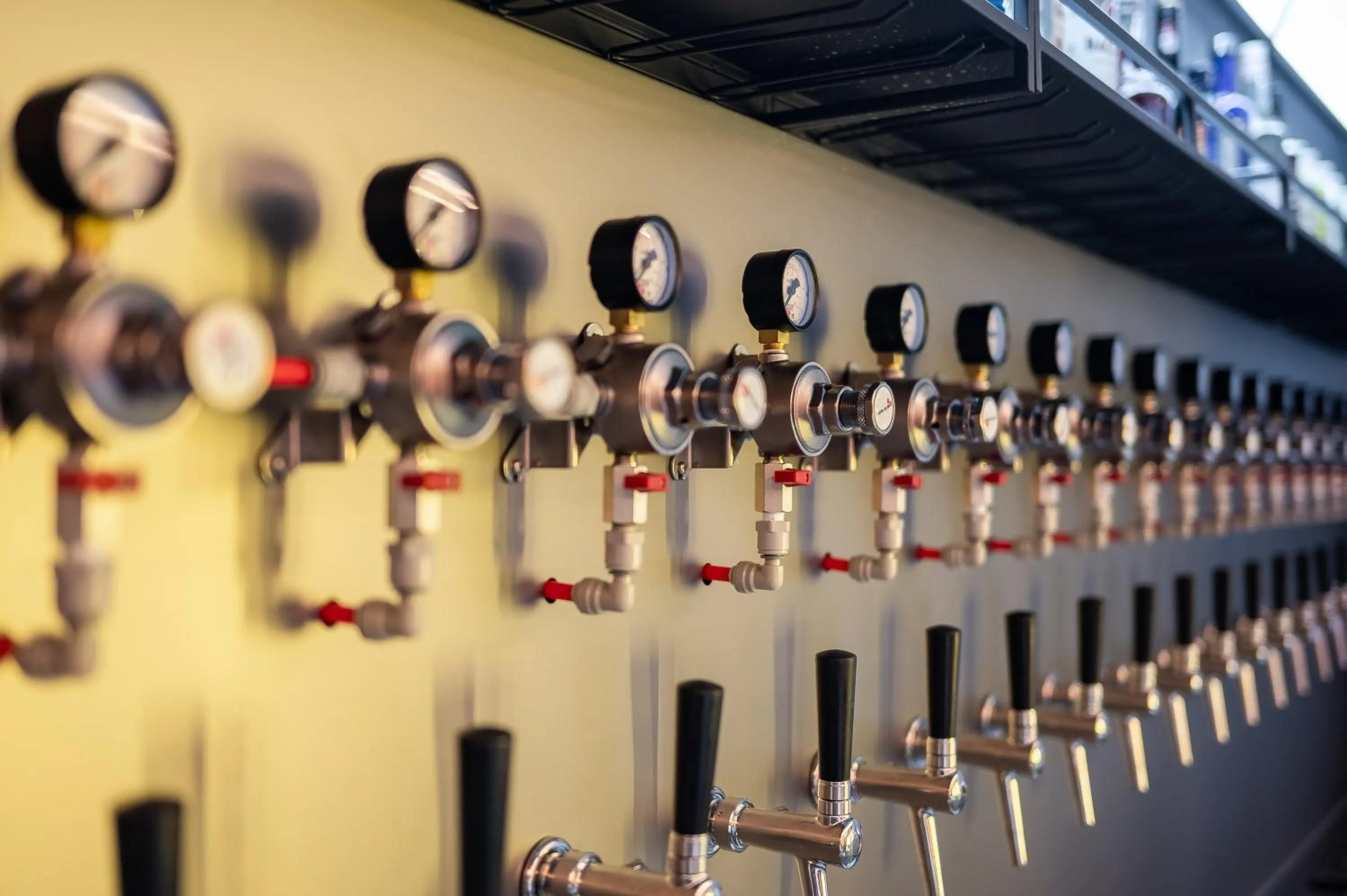 Alcoholic drinks in Dayin International Youth Hostel - East Nanjing Road & People's Square & The Bund Branch