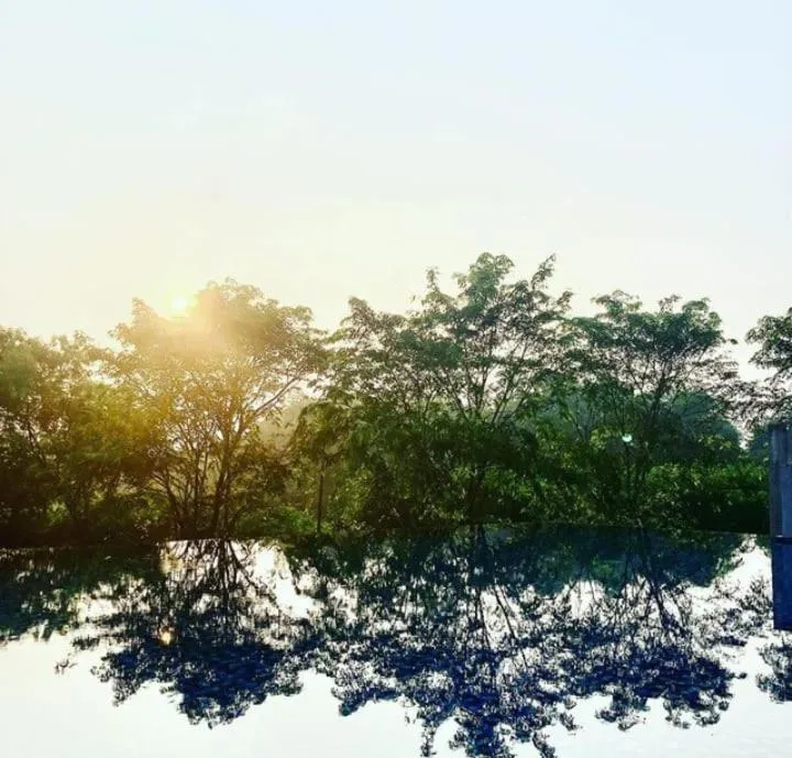 Swimming pool in Kawana Golf Residence