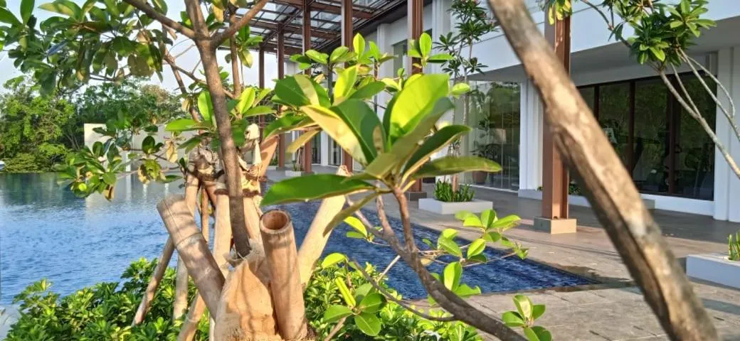 Swimming pool in Kawana Golf Residence