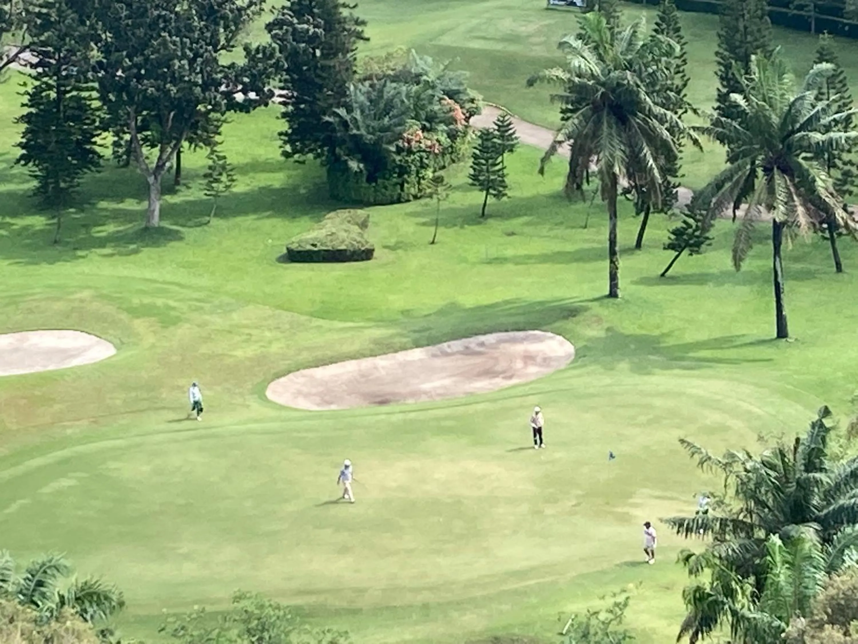 Golfcourse in Kawana Golf Residence