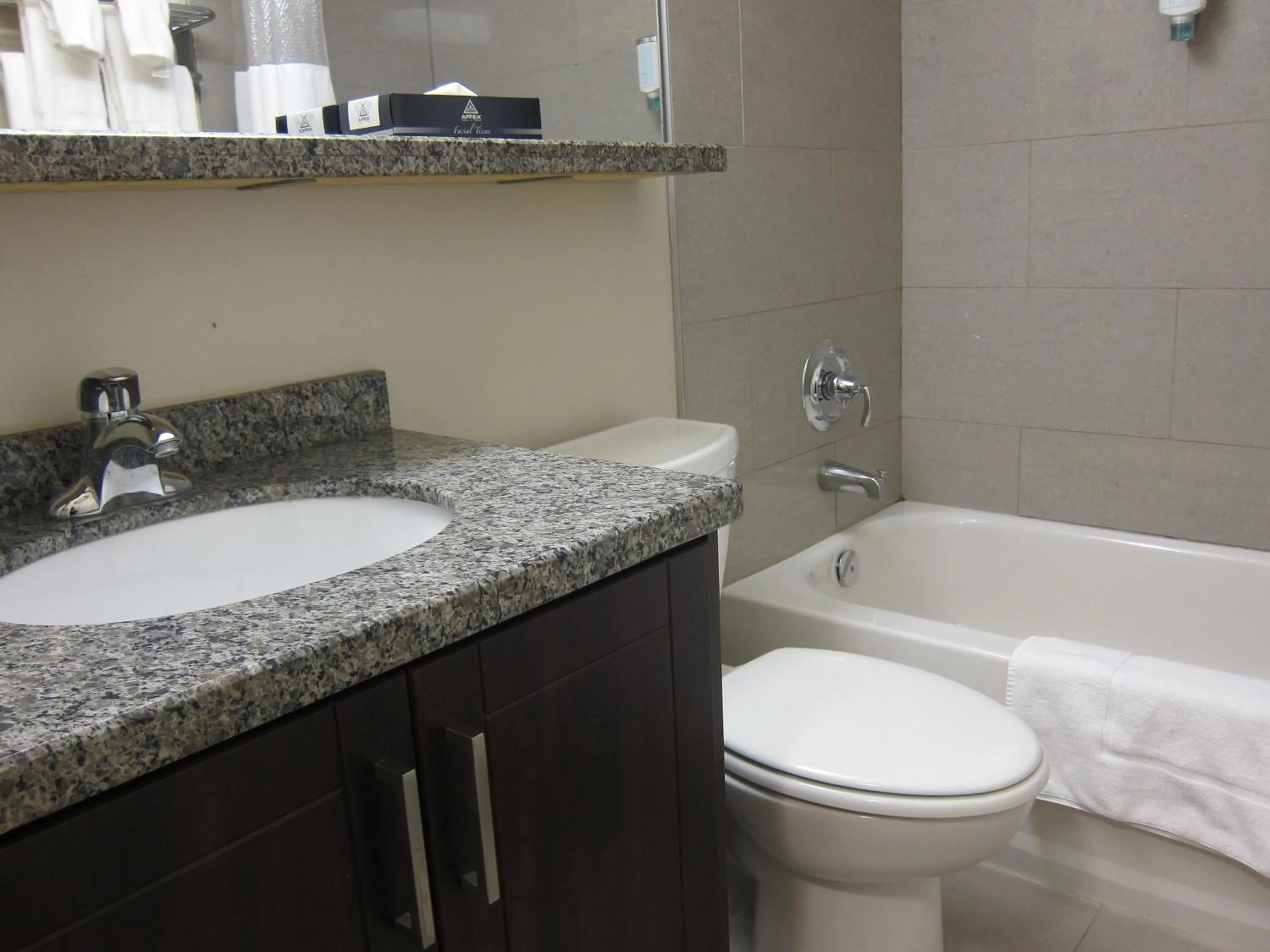 Bathroom in Canadas Best Value Inn Toronto