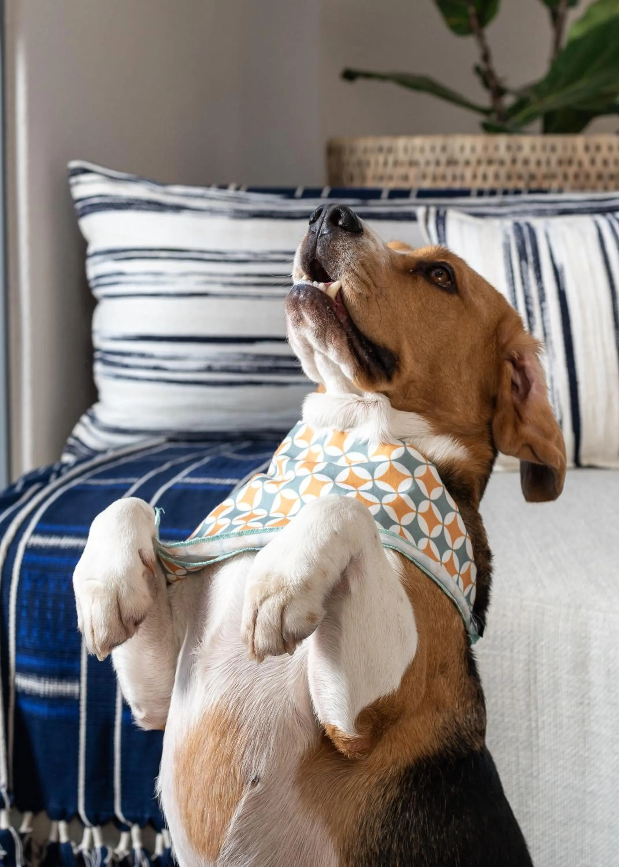 Seating area in Home Suite Hotels Sea Point