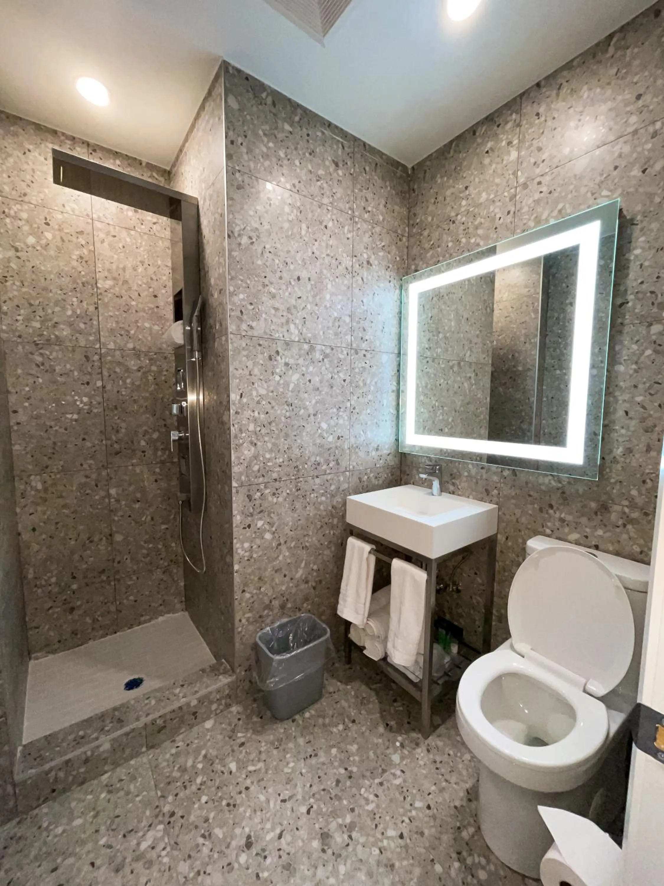 Shower in Hotel Saint-Andre