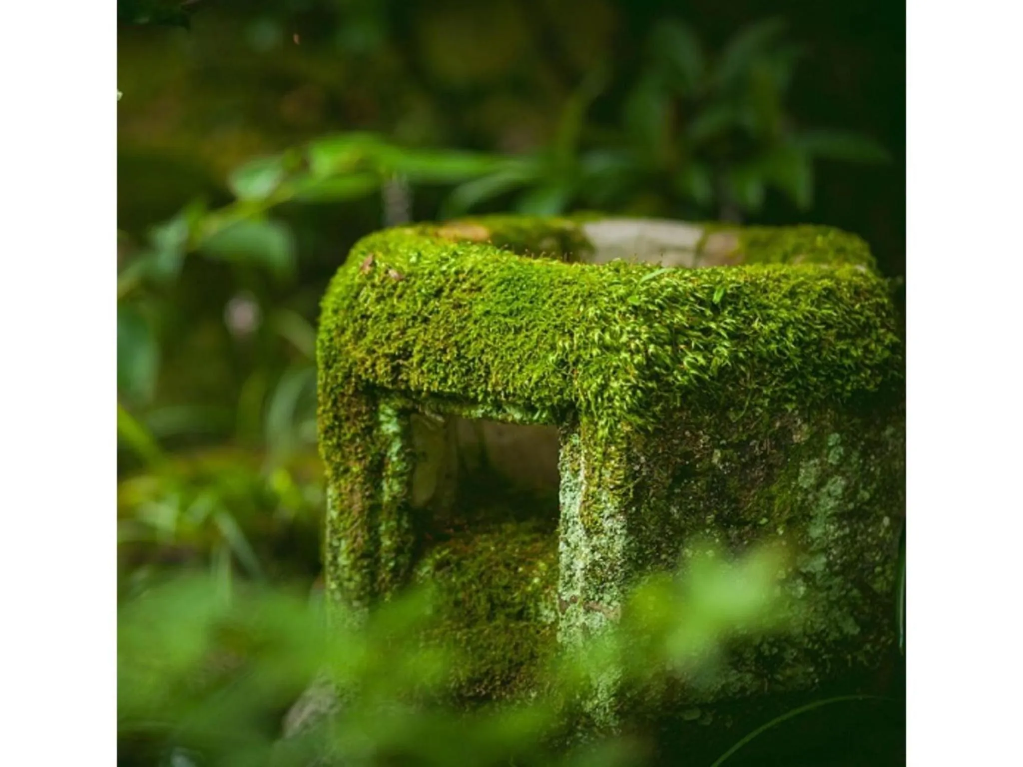 Dogo Onsen Funaya - Vacation STAY 54212v