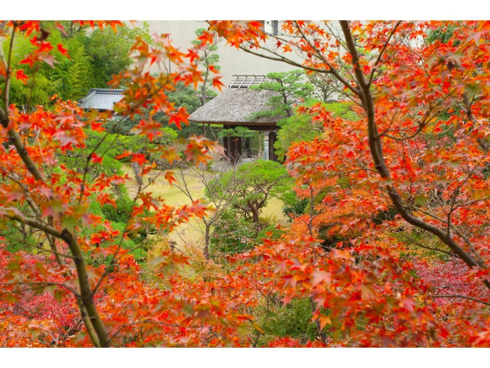 Dogo Onsen Funaya - Vacation STAY 54212v