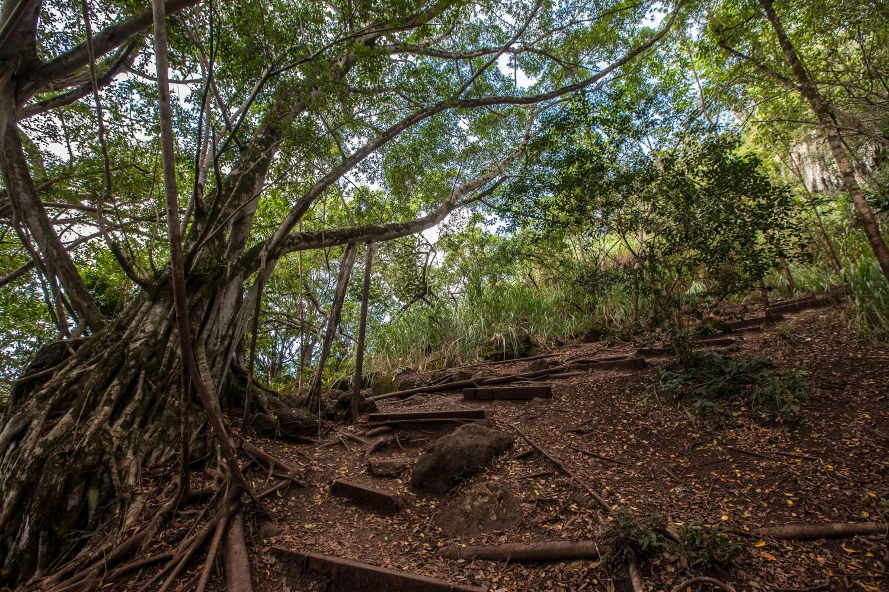 Natural landscape in Diamond Head View Close to Waikiki Beach with Parking