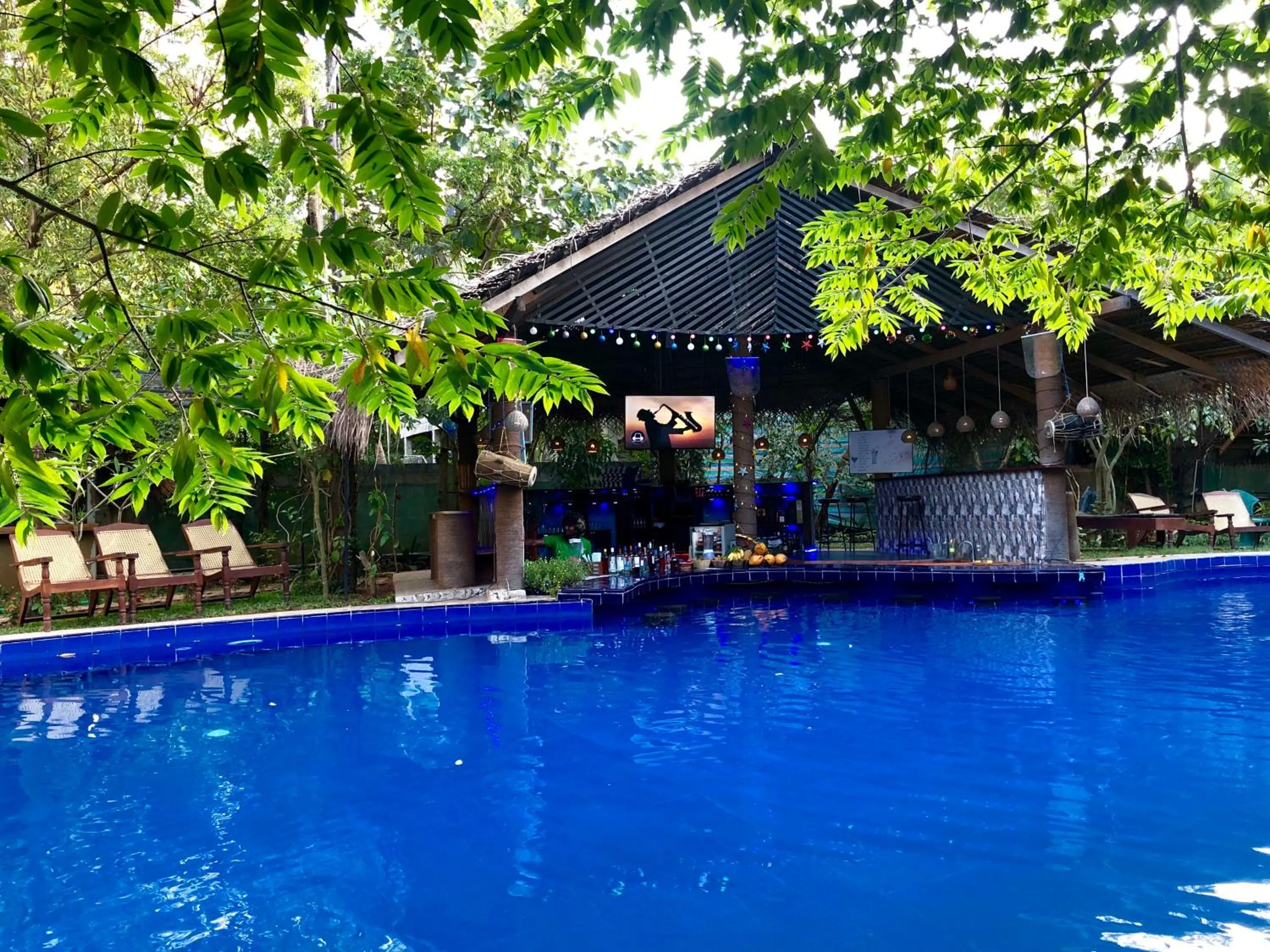 Swimming Pool in Sundaras Resort & Spa Dambulla