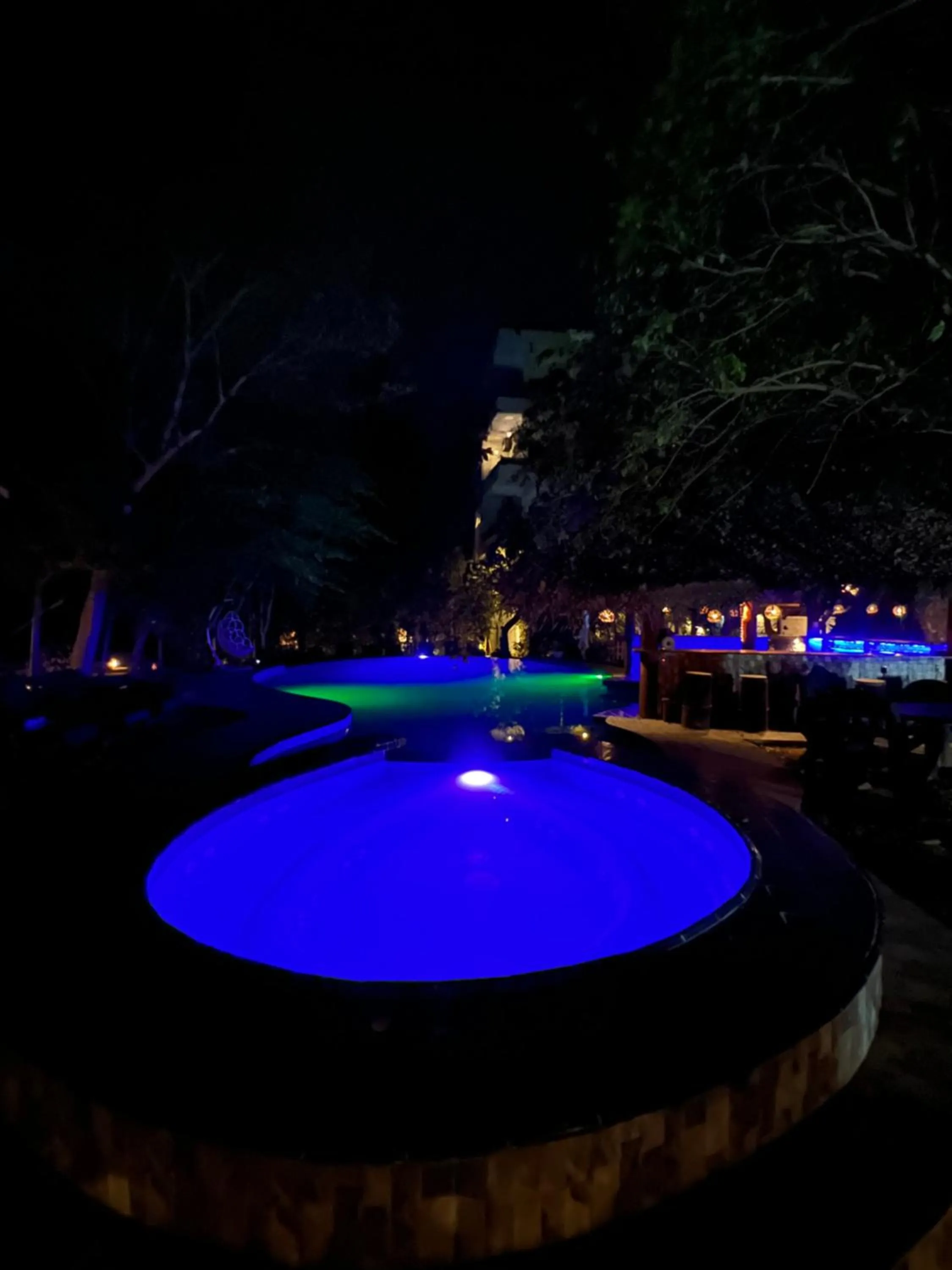 Night, Swimming Pool in Sundaras Resort & Spa Dambulla