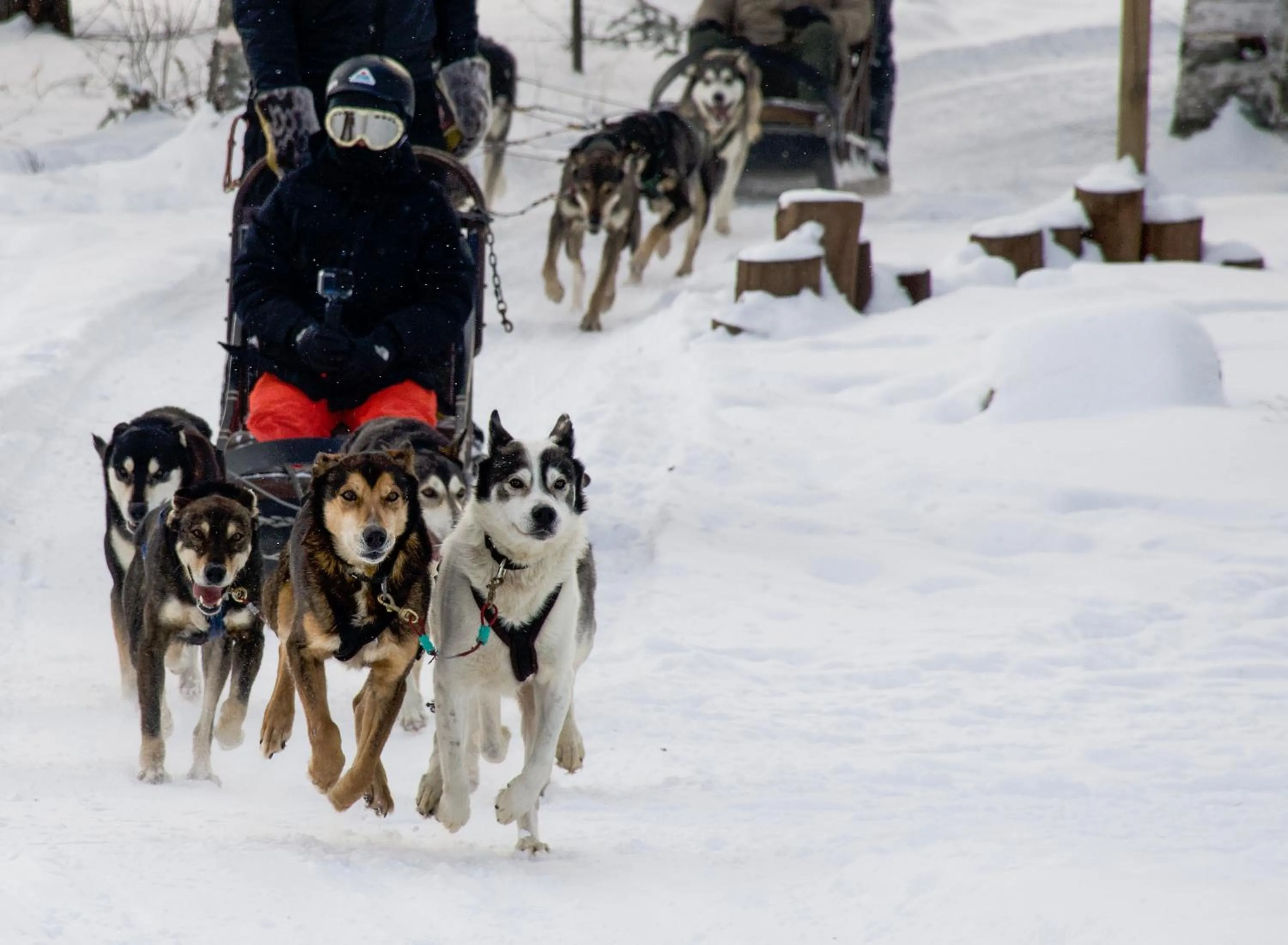 Activities in Auberge du Lac Taureau et Condos