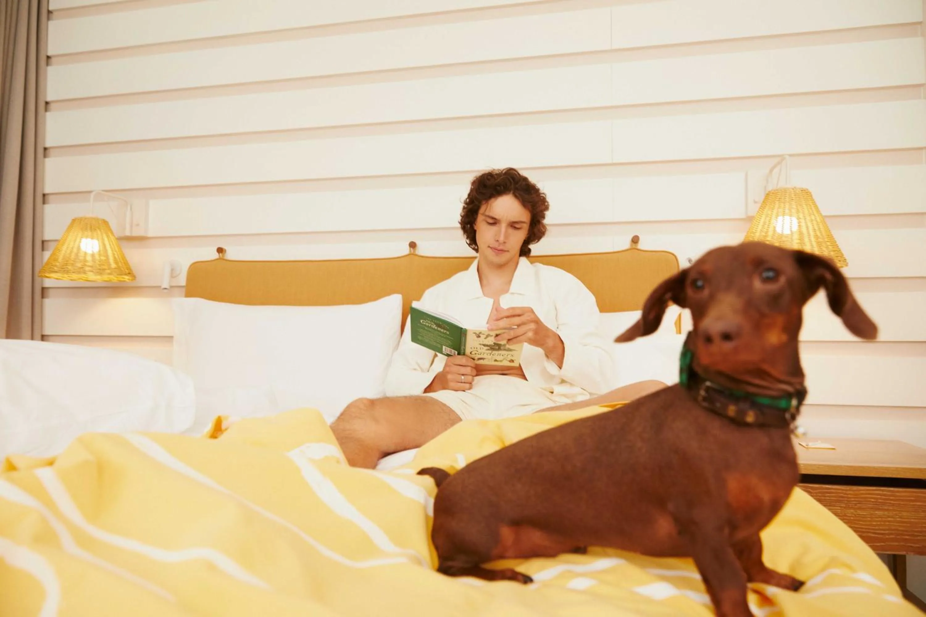 Pets in The Standard, Hua Hin