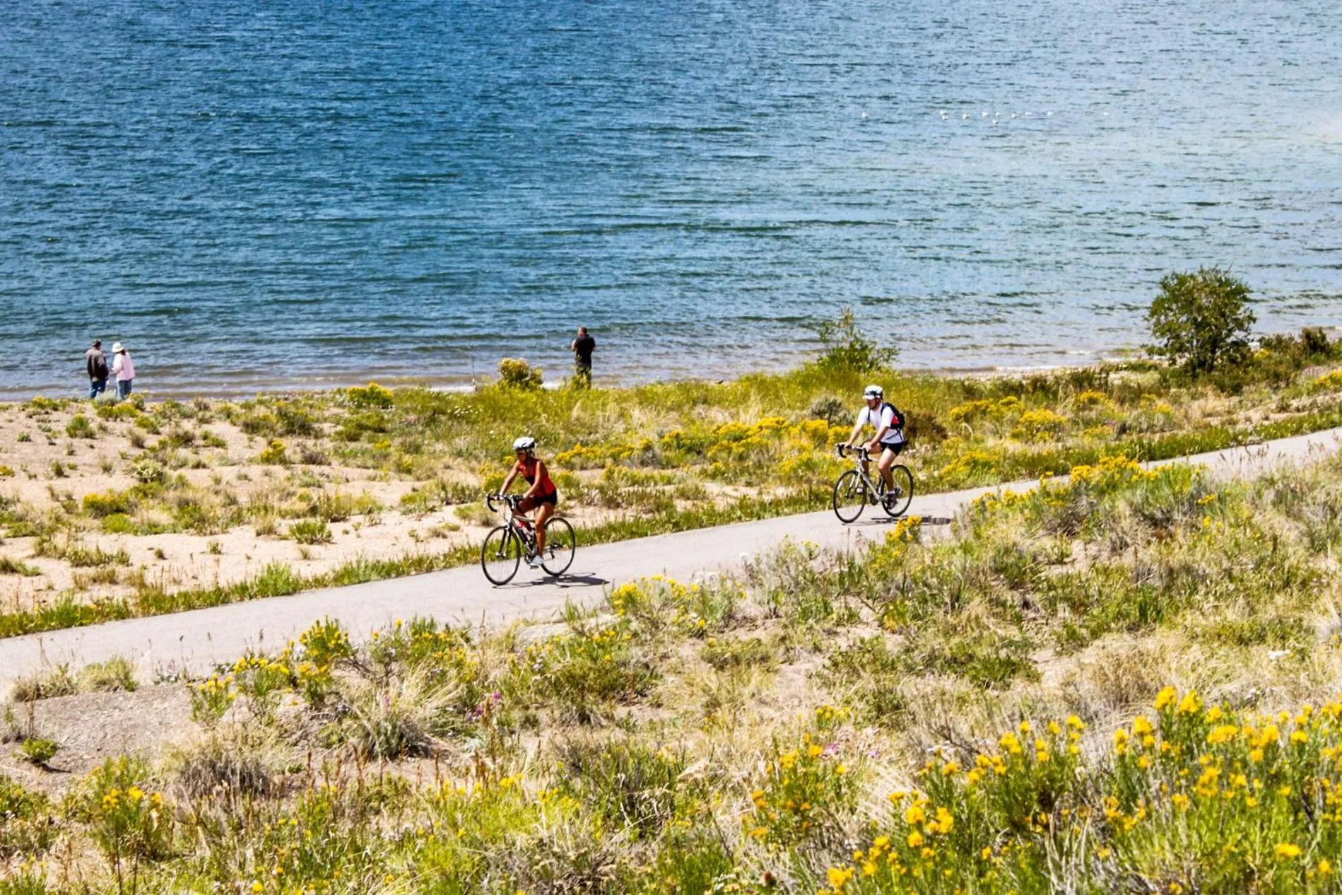 Other in Clearwater Lofts 107 Building 3