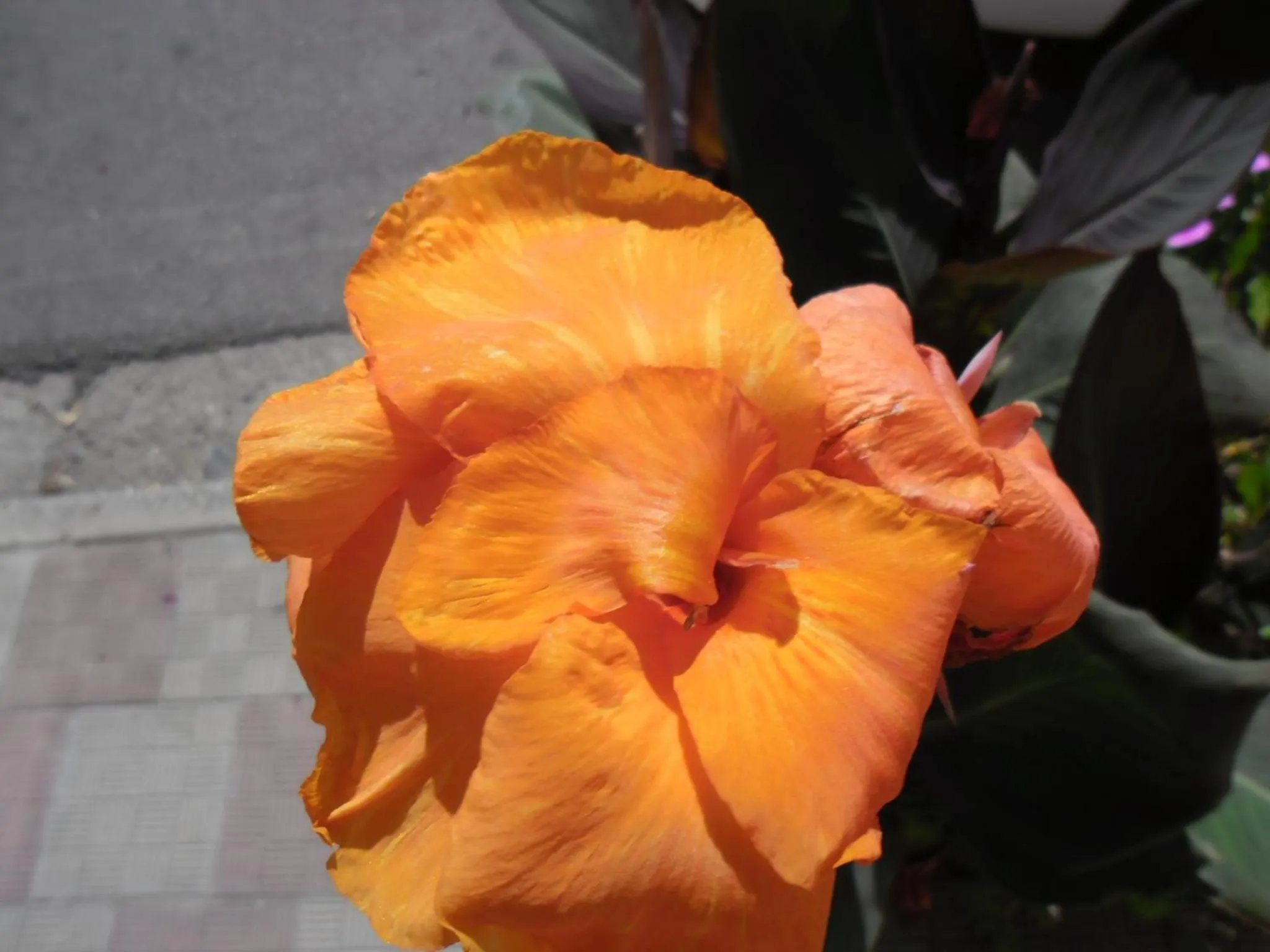 Decorative detail in Canne Al Vento