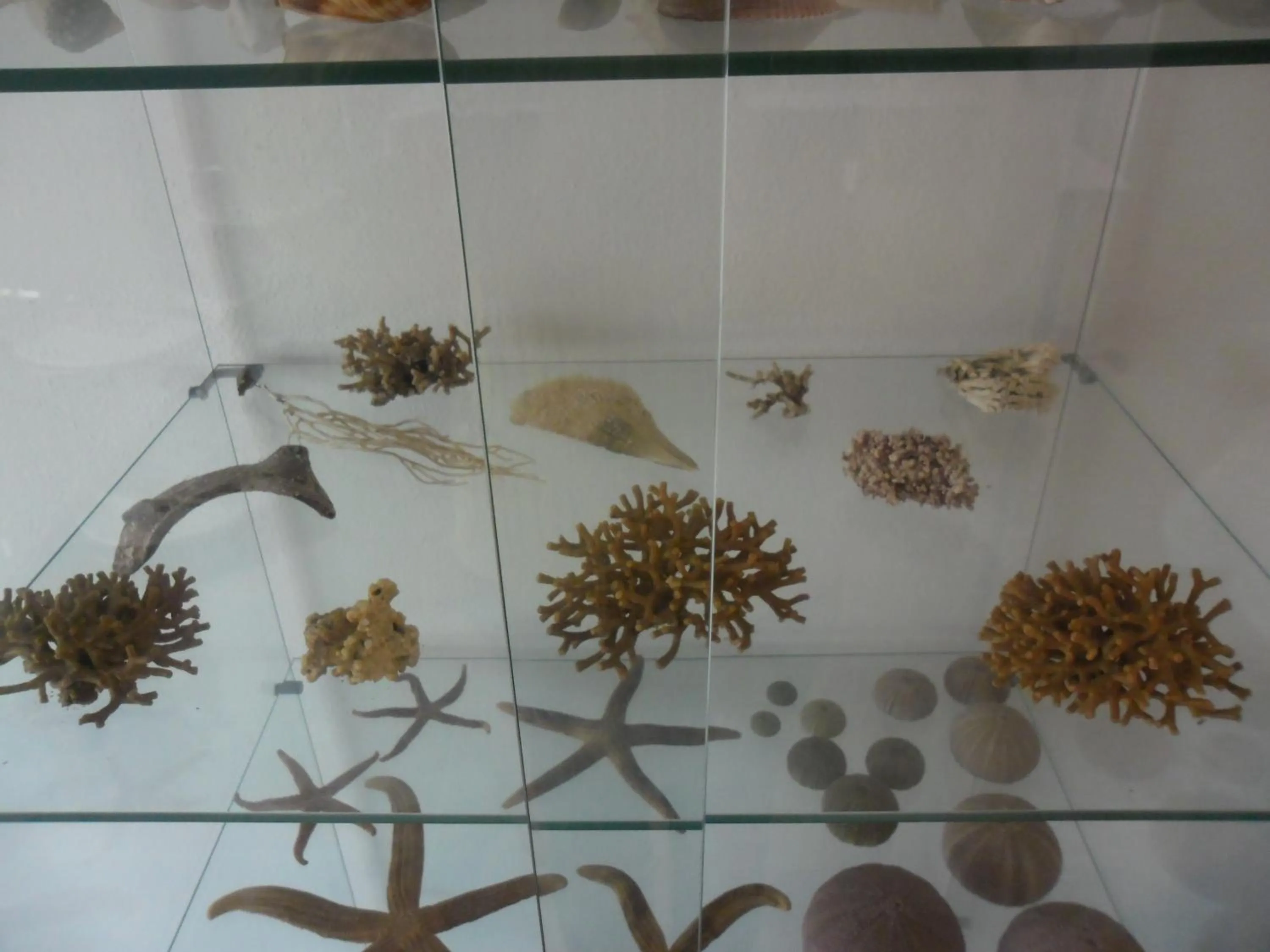 Decorative detail in Canne Al Vento