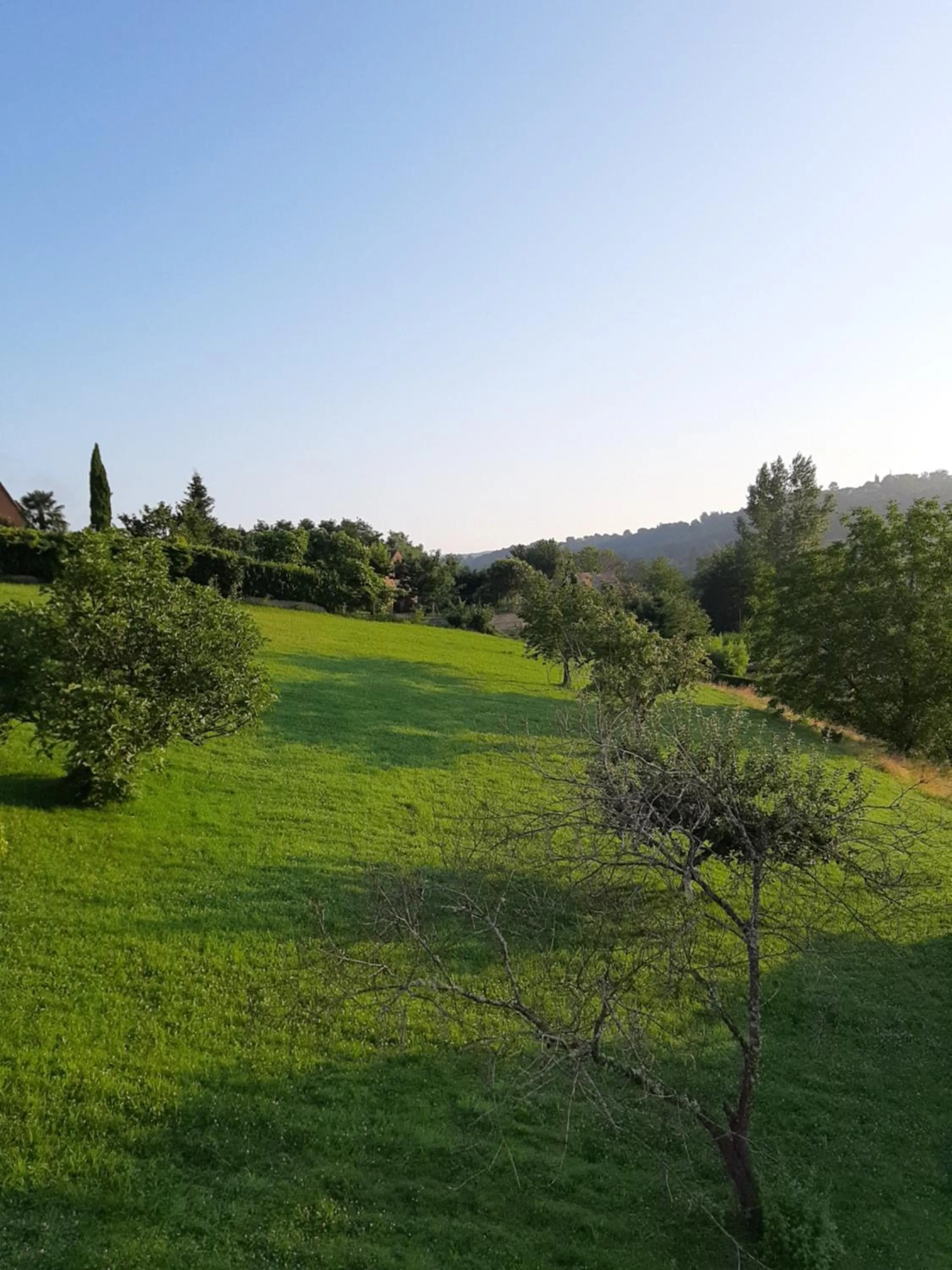 Garden in La Maison Thimadaise