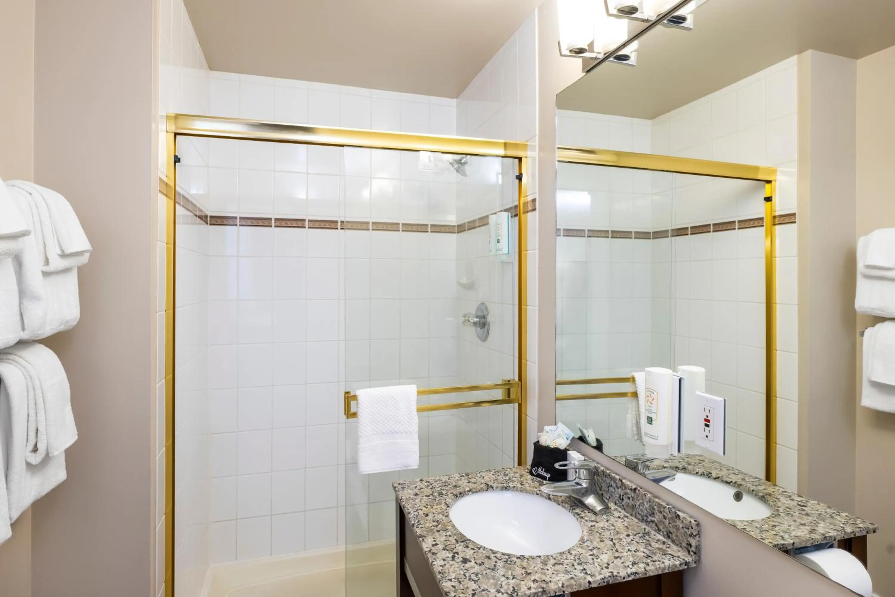 Shower in Quality Inn & Suites