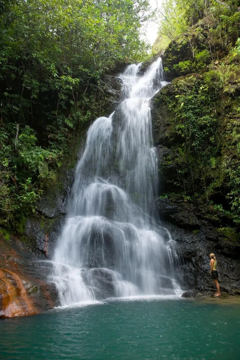 Natural landscape in Pelican Beach Resort South Water Caye