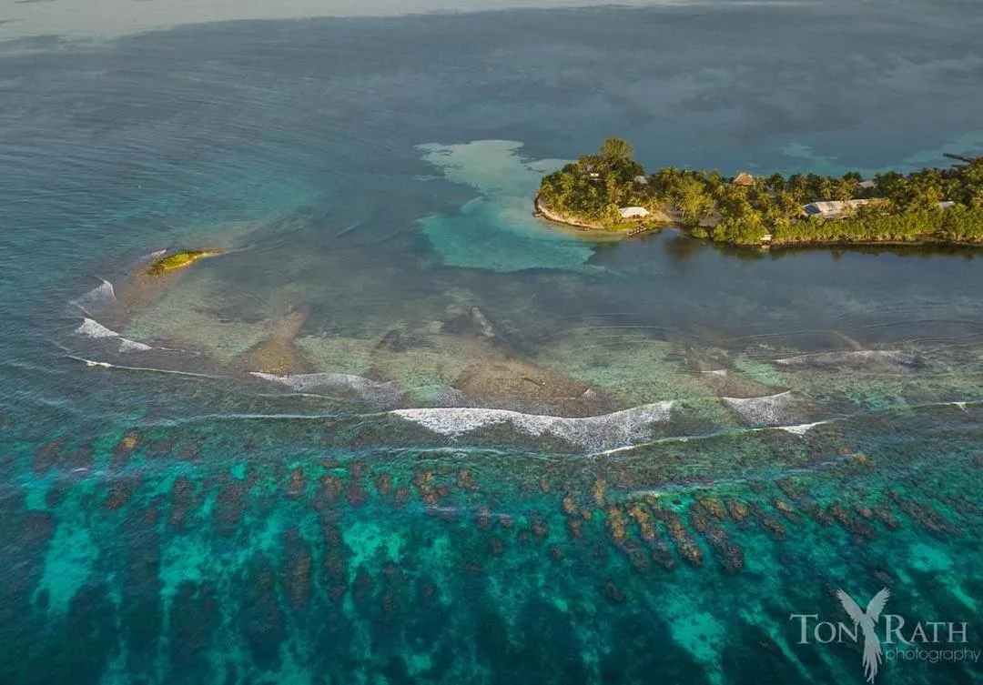 Natural landscape in Pelican Beach Resort South Water Caye