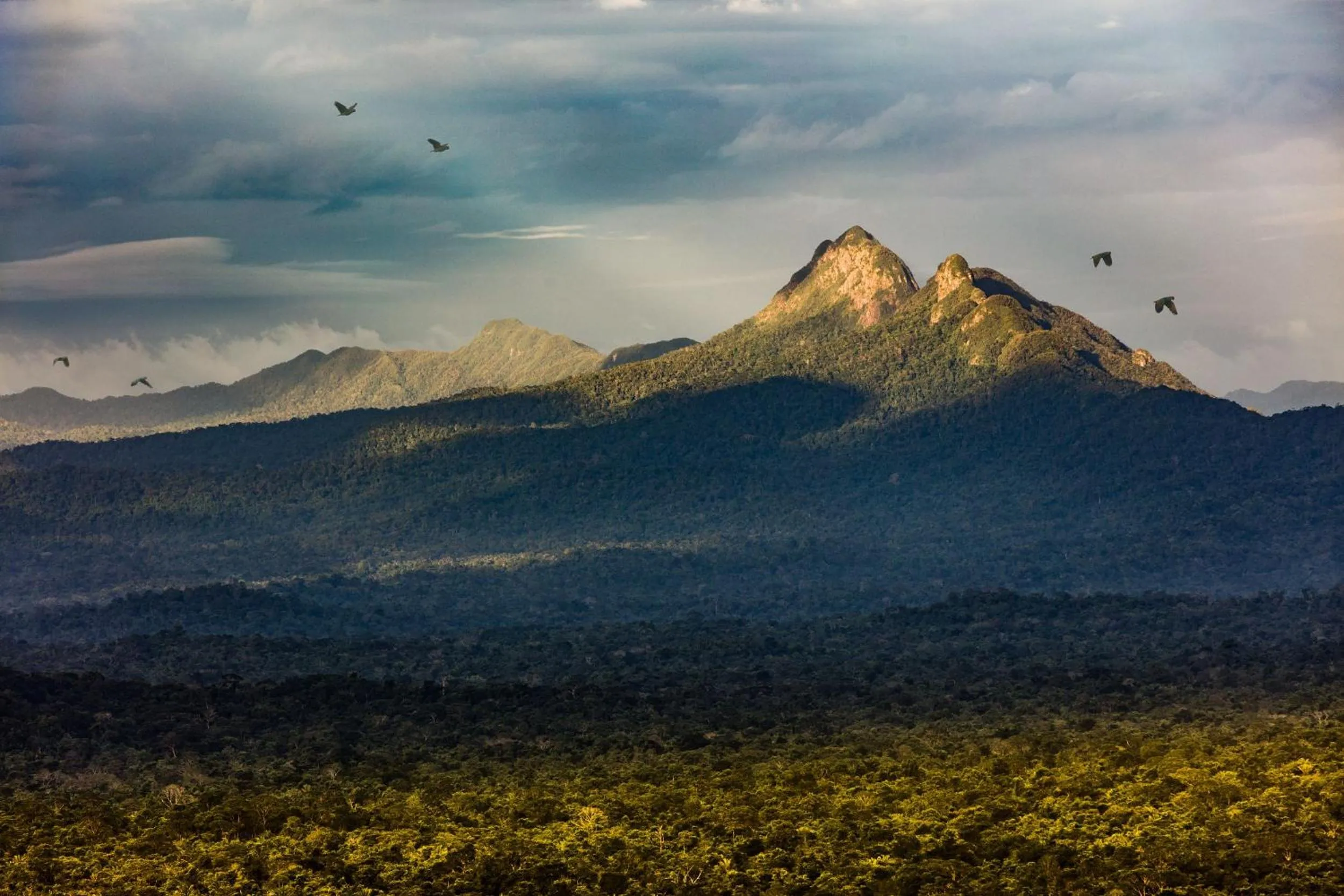 Natural landscape in Pelican Beach Resort South Water Caye