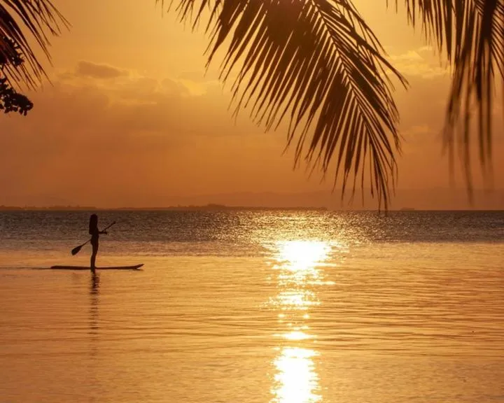Natural landscape in Pelican Beach Resort South Water Caye