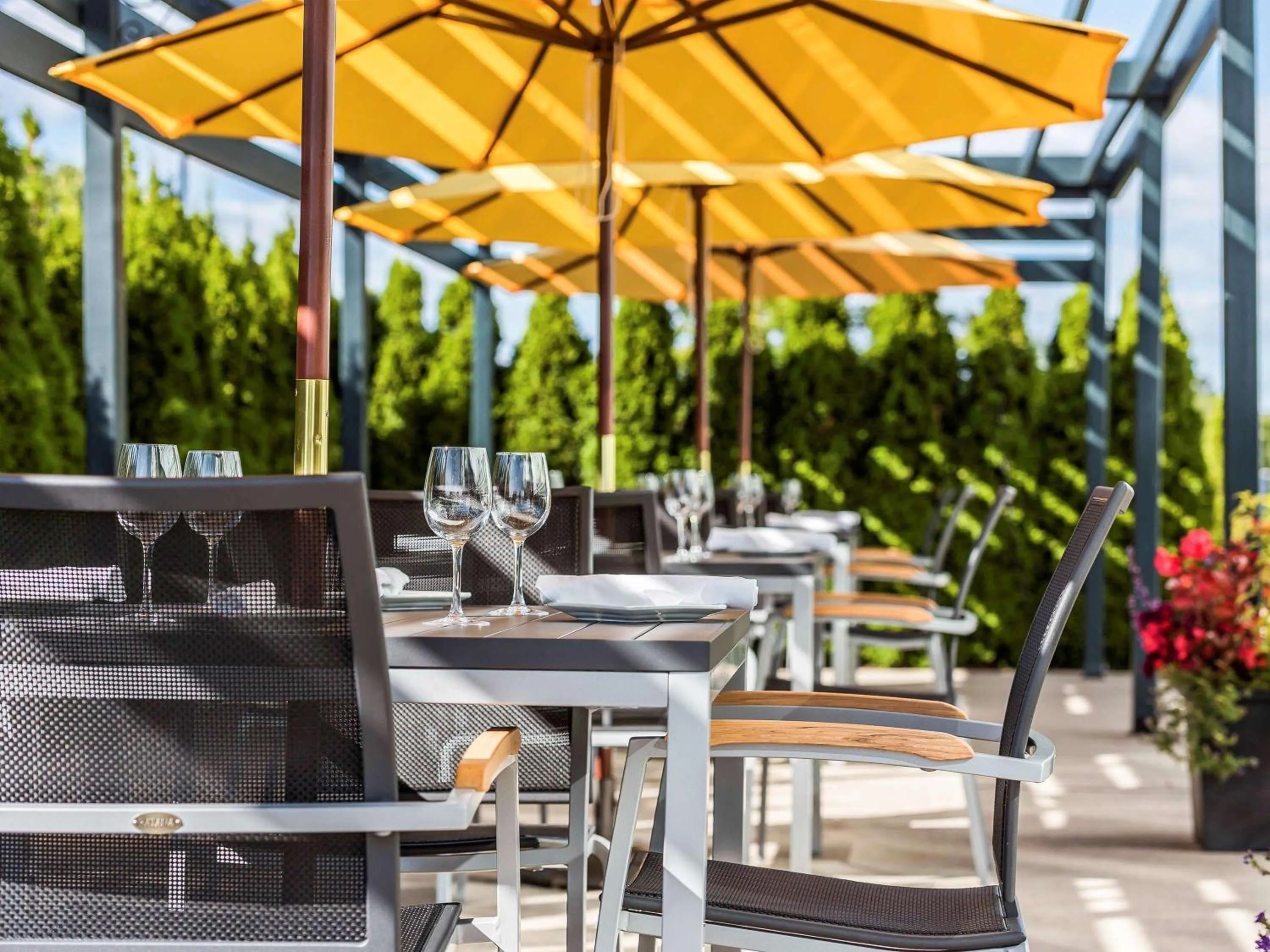 Restaurant/places to eat in Novotel Montréal Aéroport