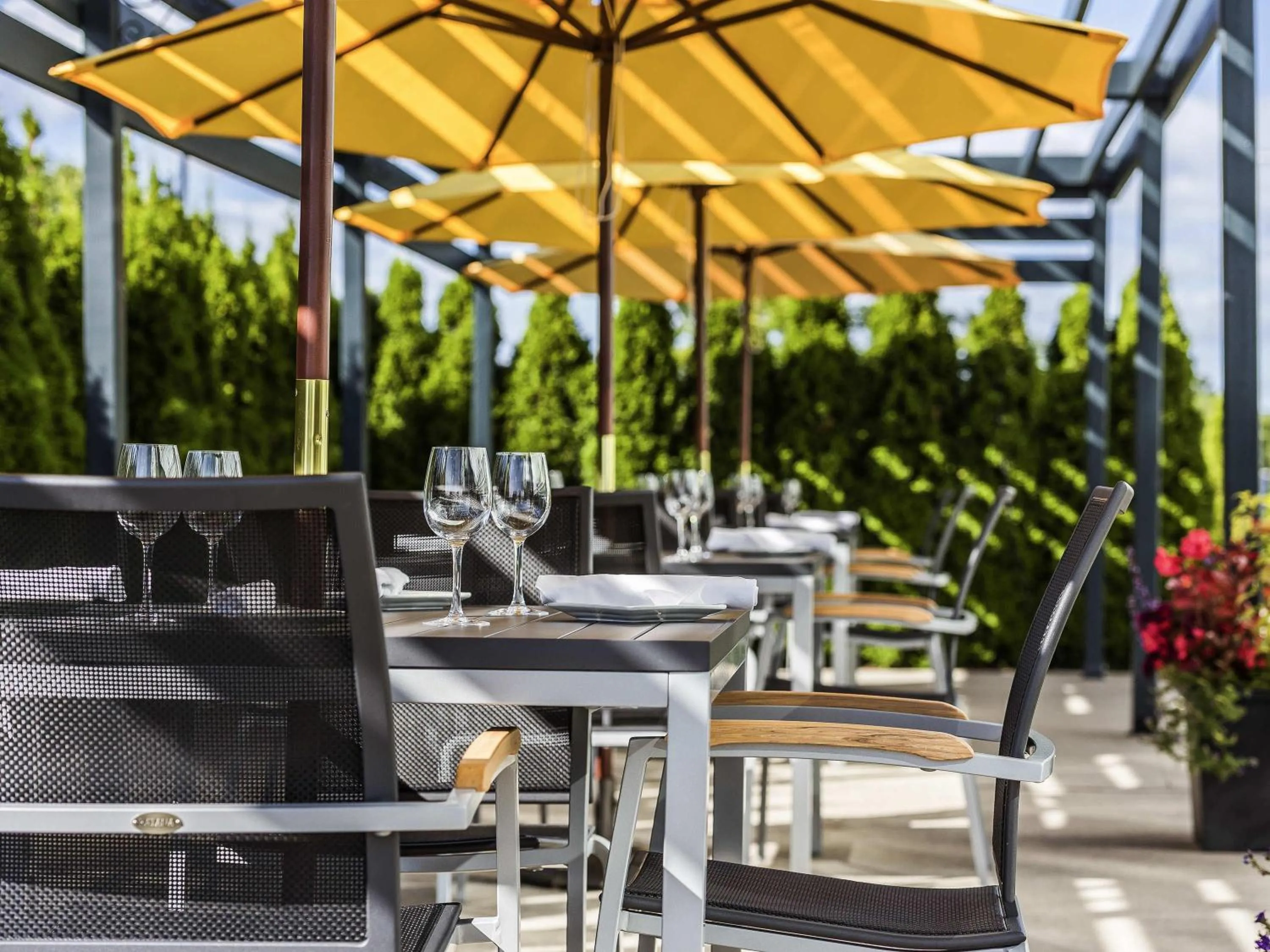 Restaurant/places to eat in Novotel Montréal Aéroport