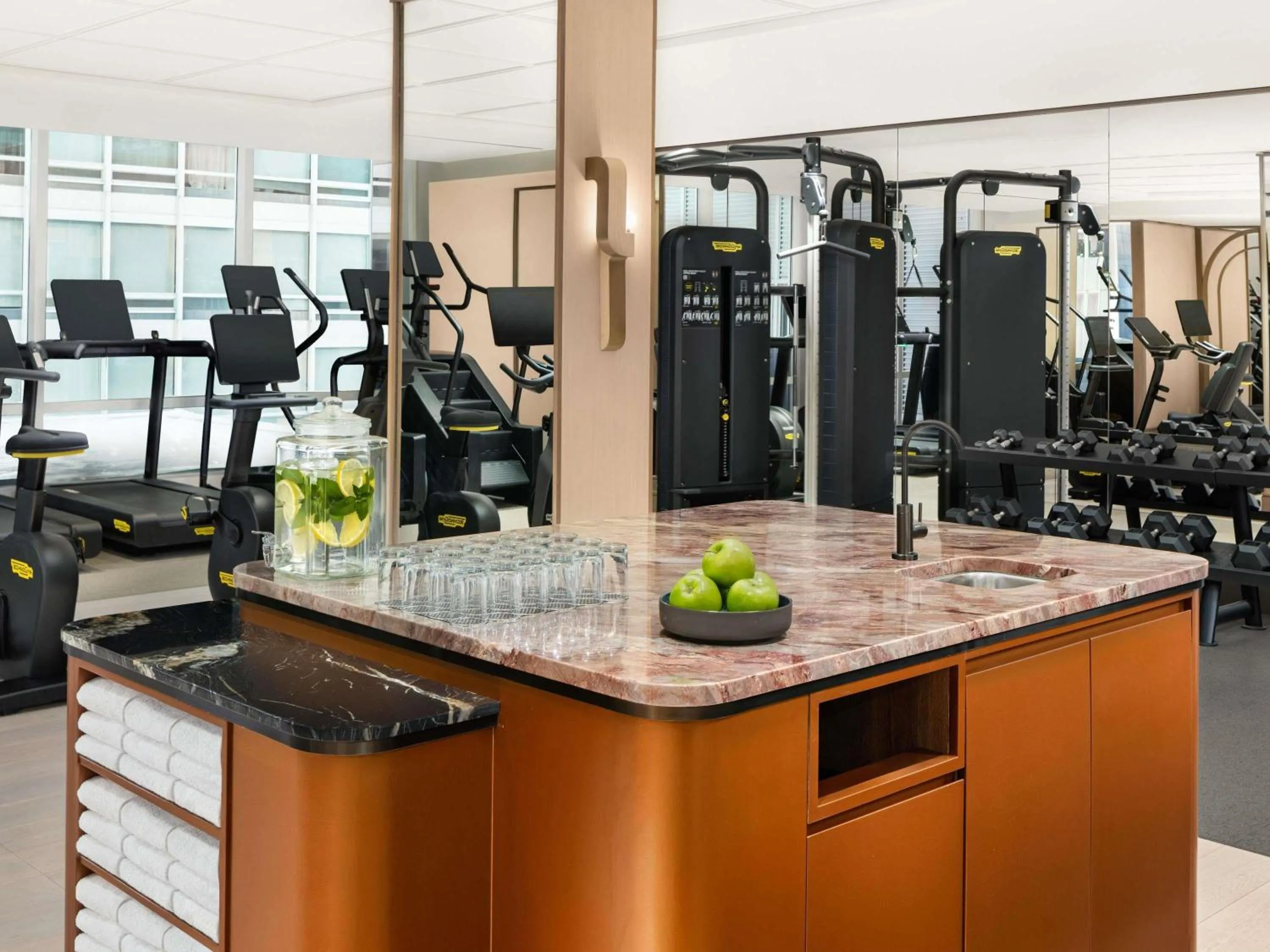 Fitness centre/facilities in Sofitel Montreal Golden Mile
