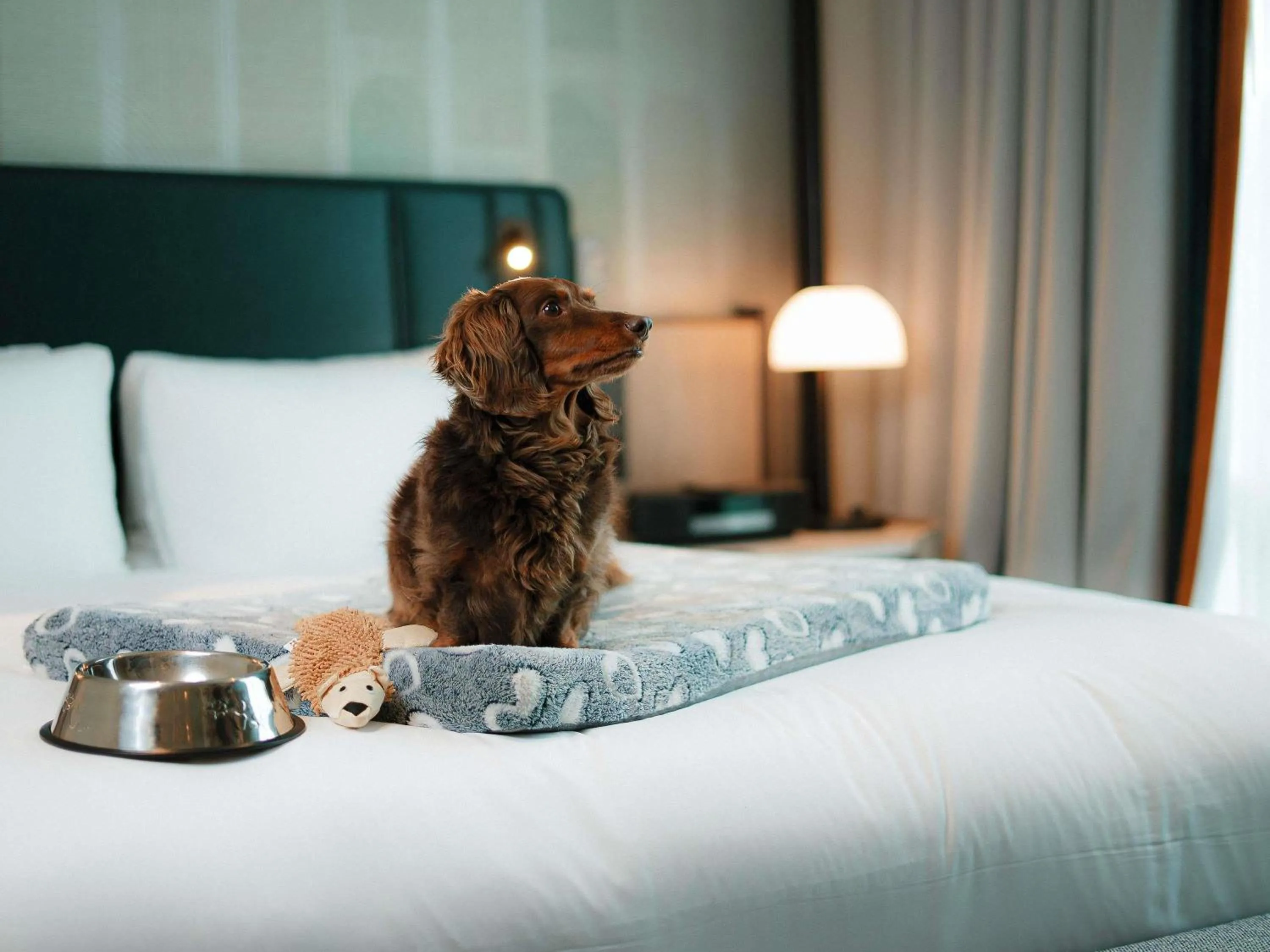 Bedroom, Bed in Sofitel Montreal Golden Mile
