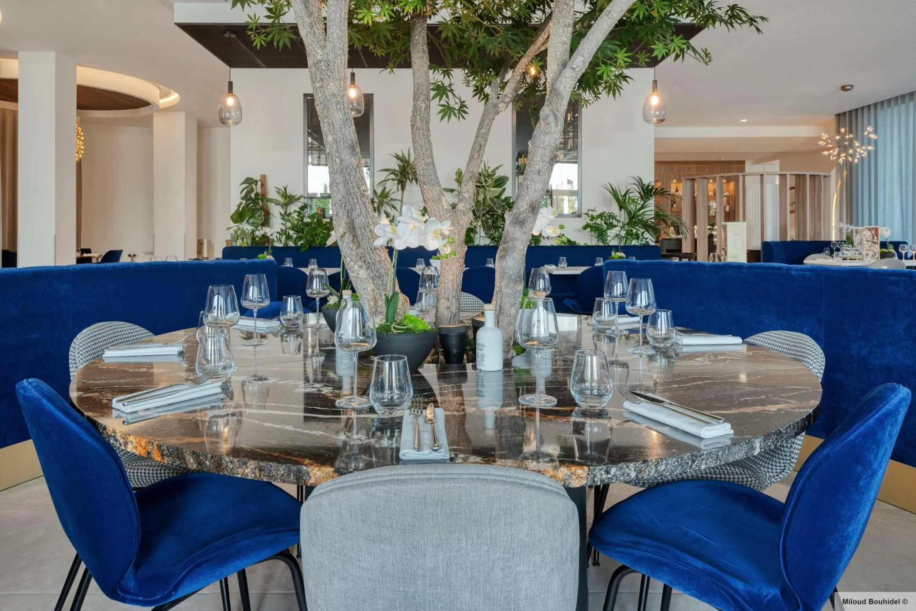 Restaurant/places to eat in GOLDEN TULIP LYON OUEST TECHLID Hotel & Spa