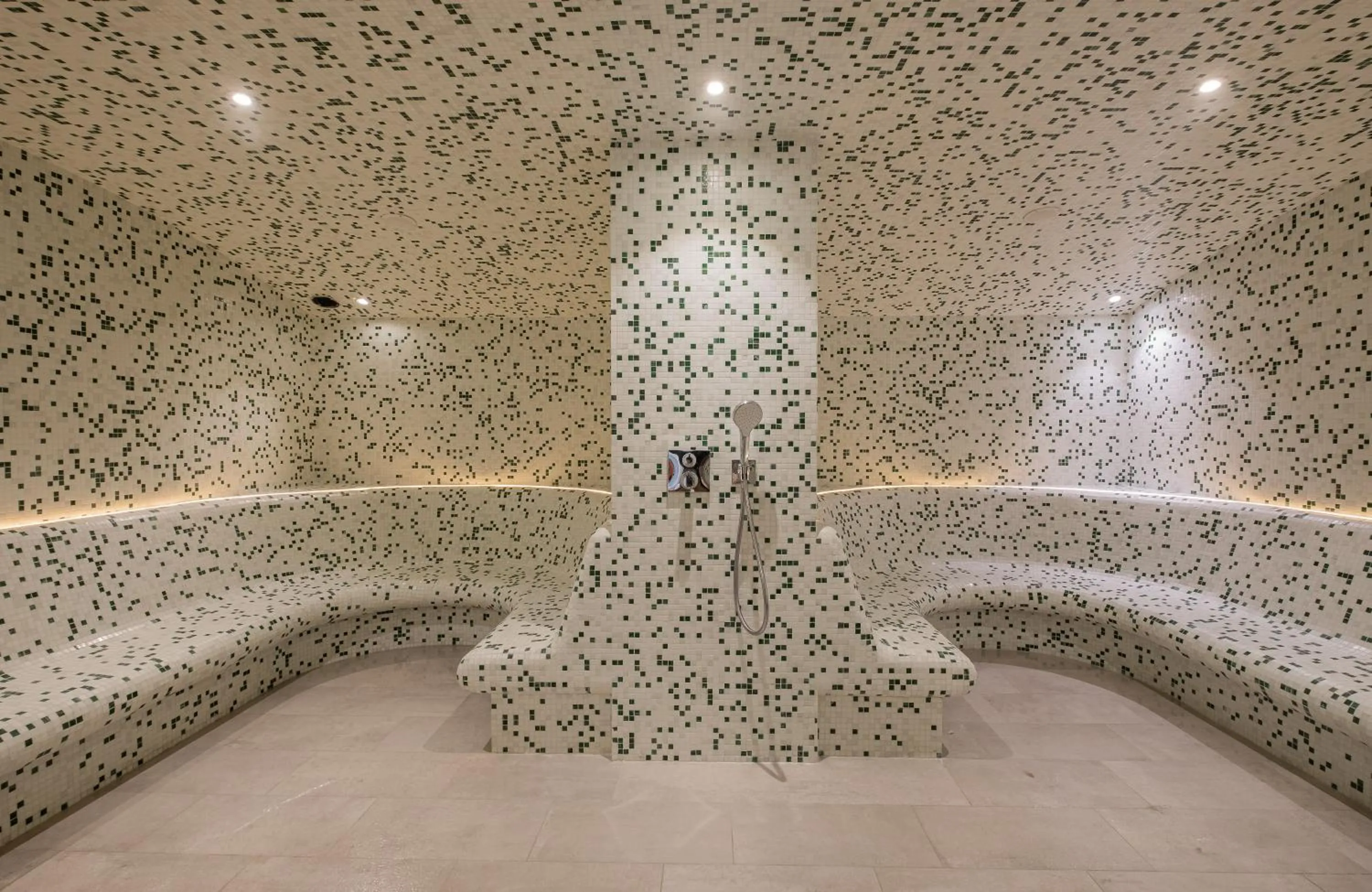 Steam room in GOLDEN TULIP LYON OUEST TECHLID Hotel & Spa