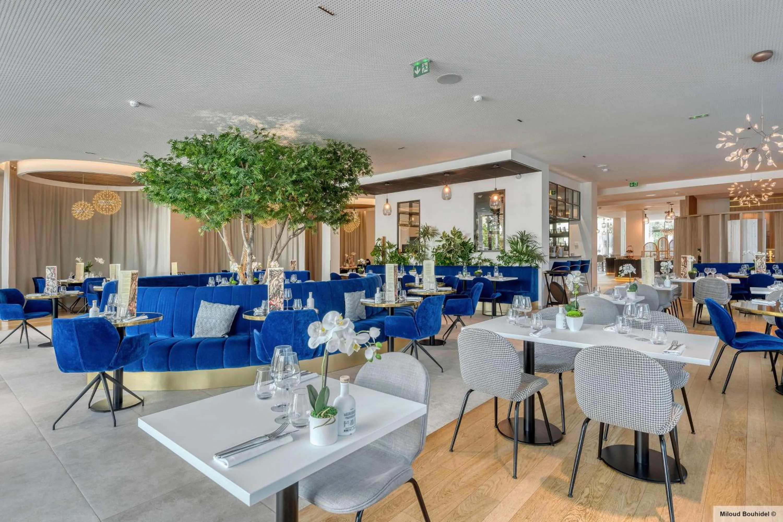 Restaurant/places to eat in GOLDEN TULIP LYON OUEST TECHLID Hotel & Spa