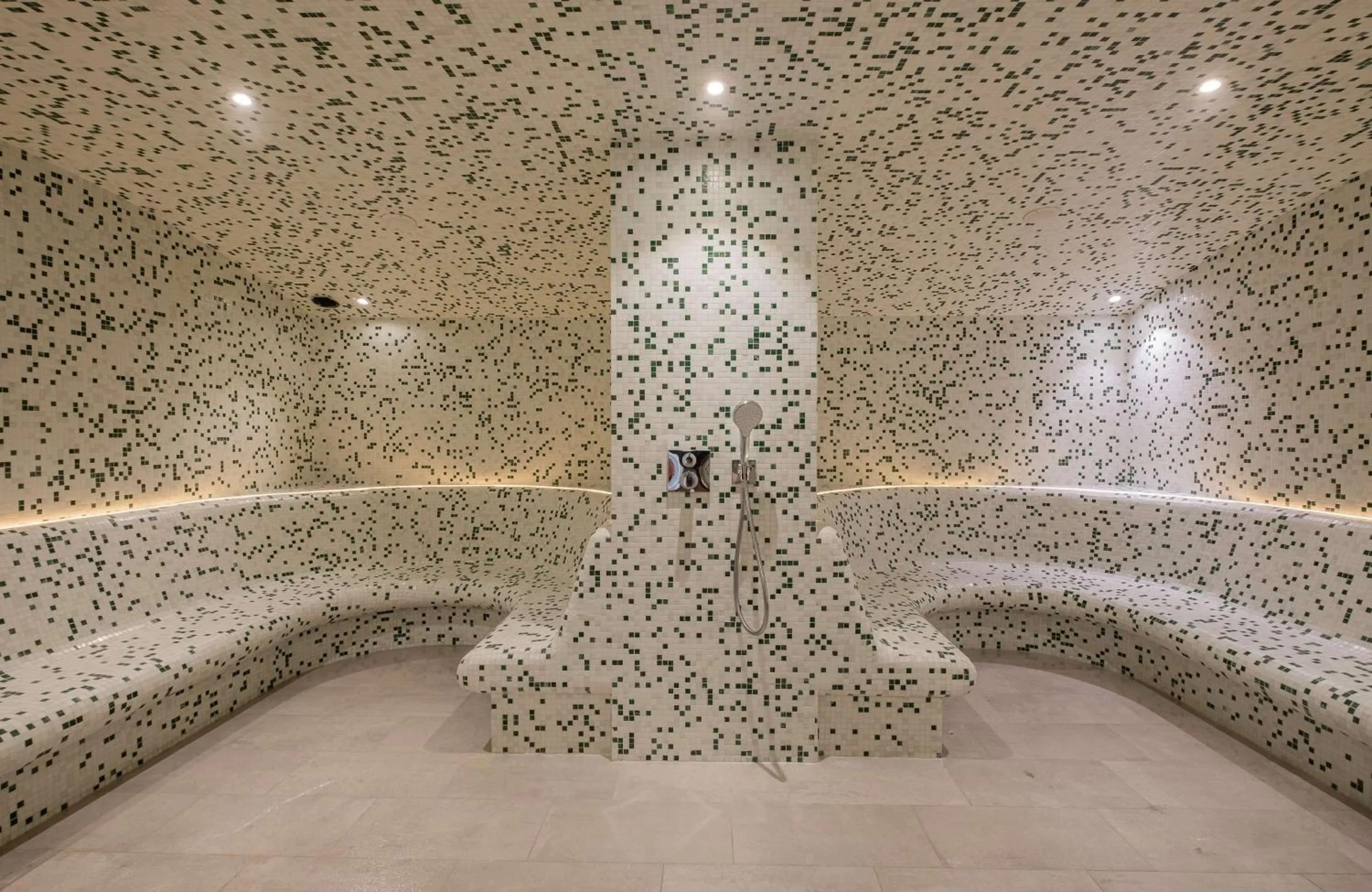 Spa and wellness centre/facilities in GOLDEN TULIP LYON OUEST TECHLID Hotel & Spa