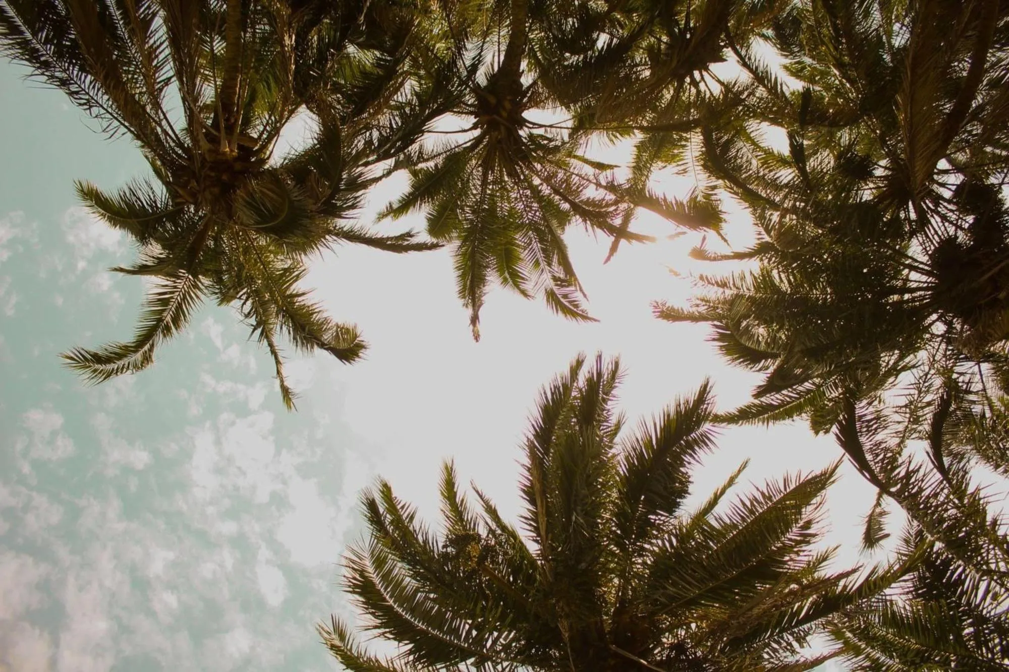 Natural landscape in Umtamvuna River Lodge