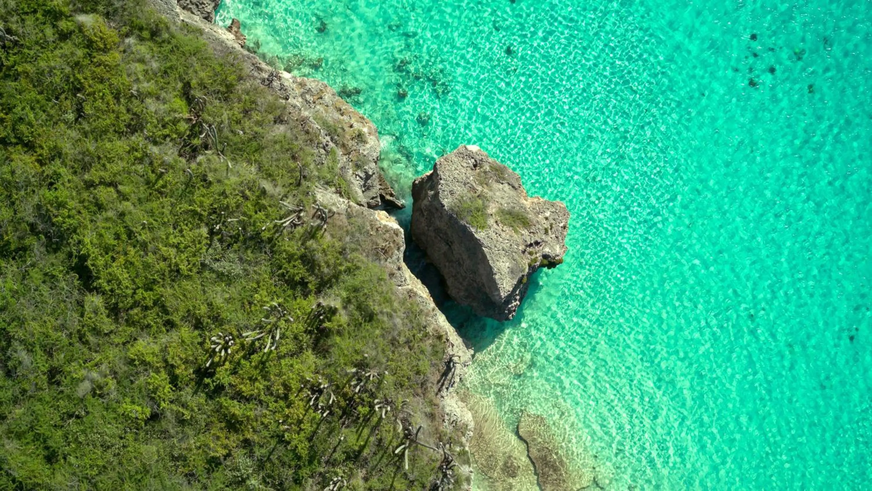 Beach in Sandals Royal Curacao All Inclusive Couples Only