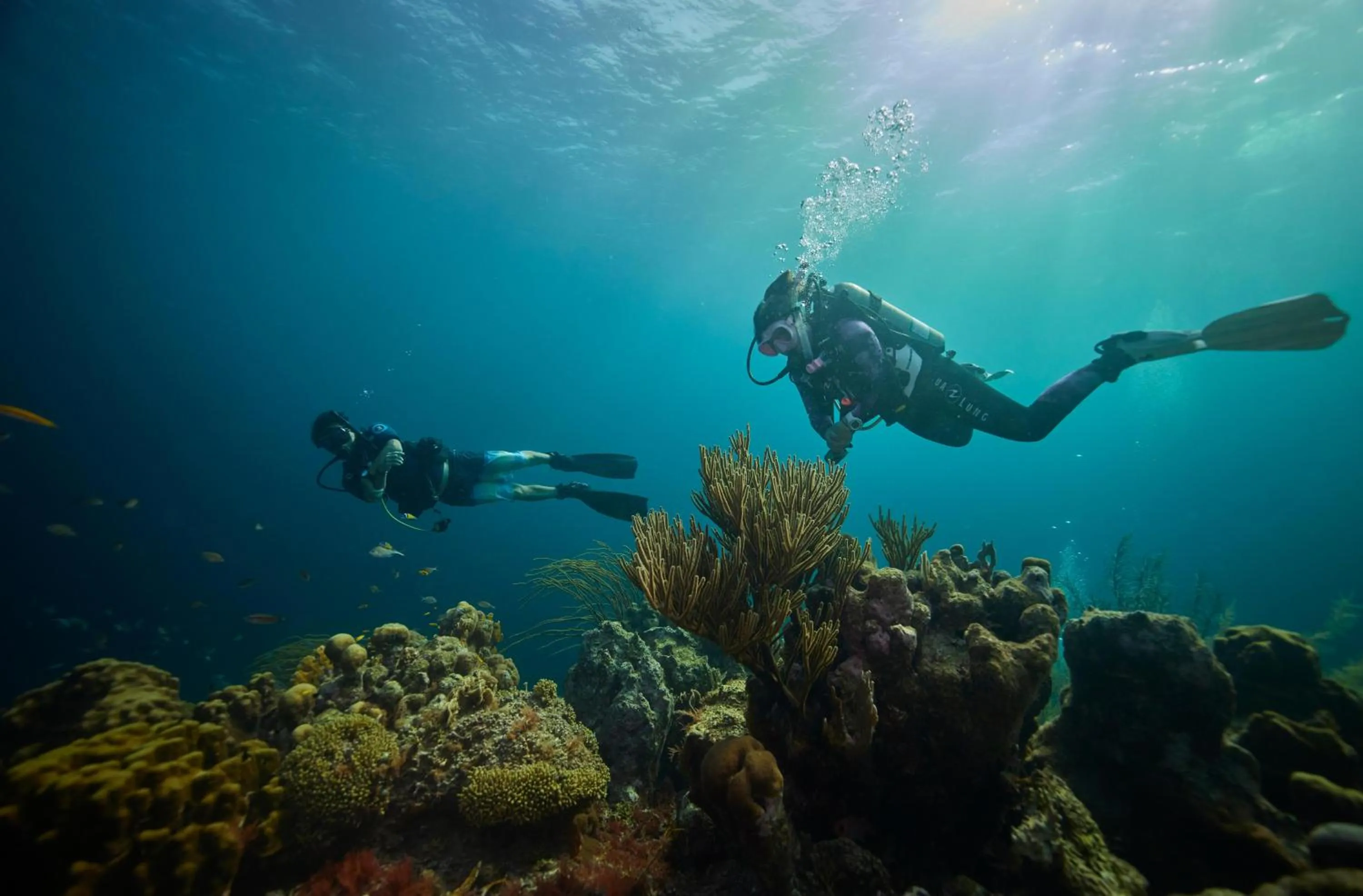 Activities in Sandals Royal Curacao All Inclusive Couples Only