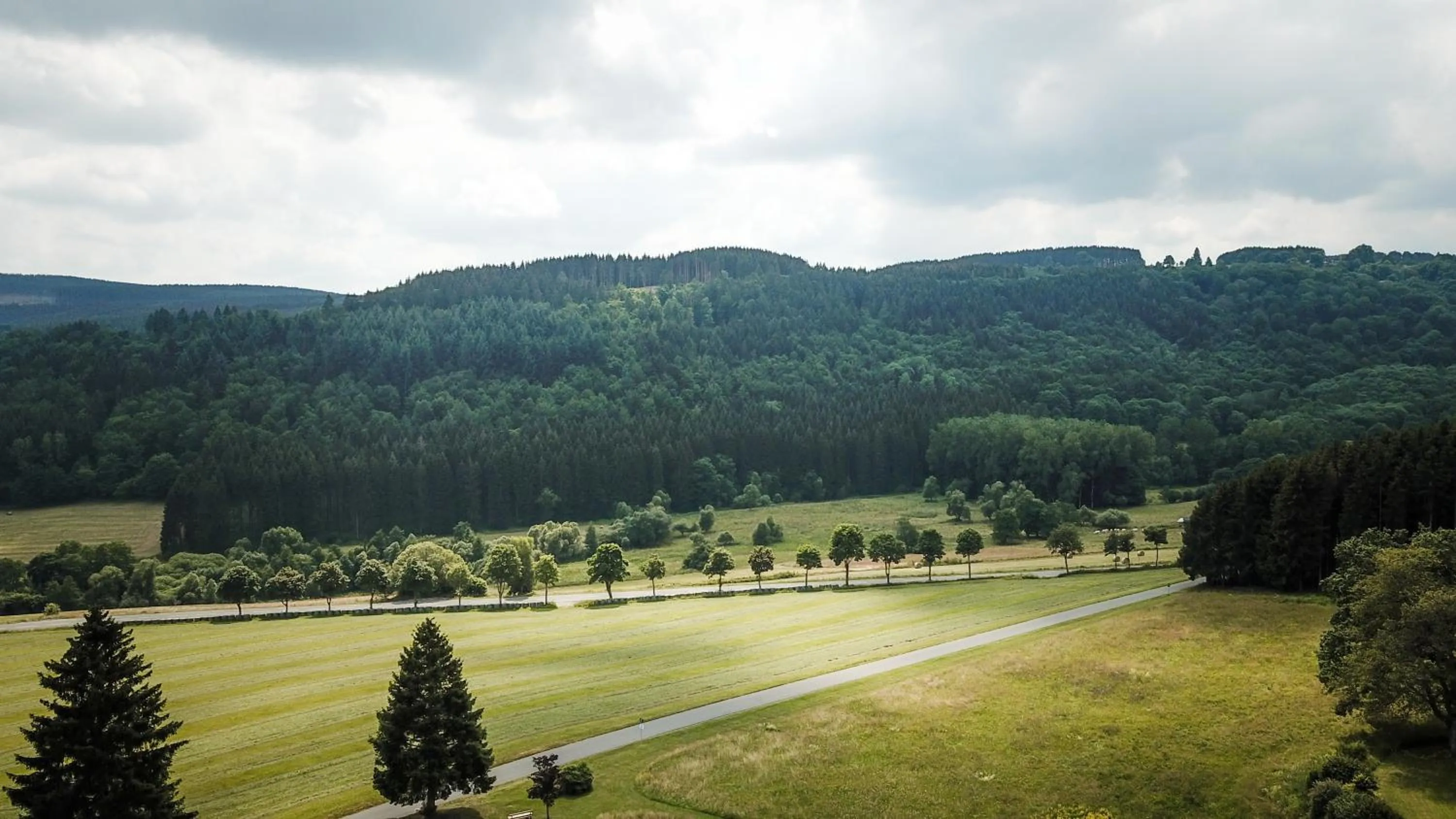 Natural landscape in St. Bonifatius