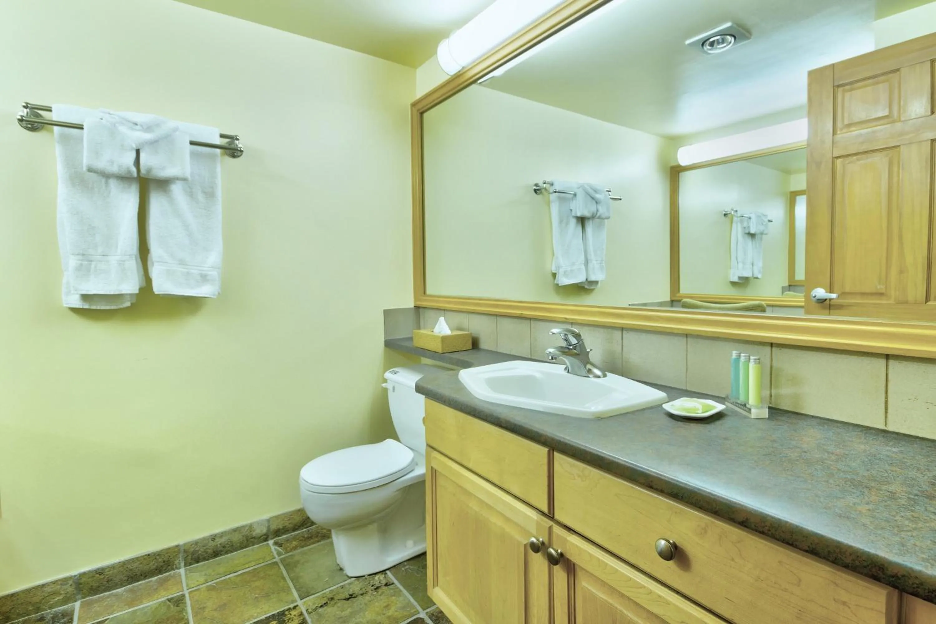 Photo of the whole room in Mountainside Lodge