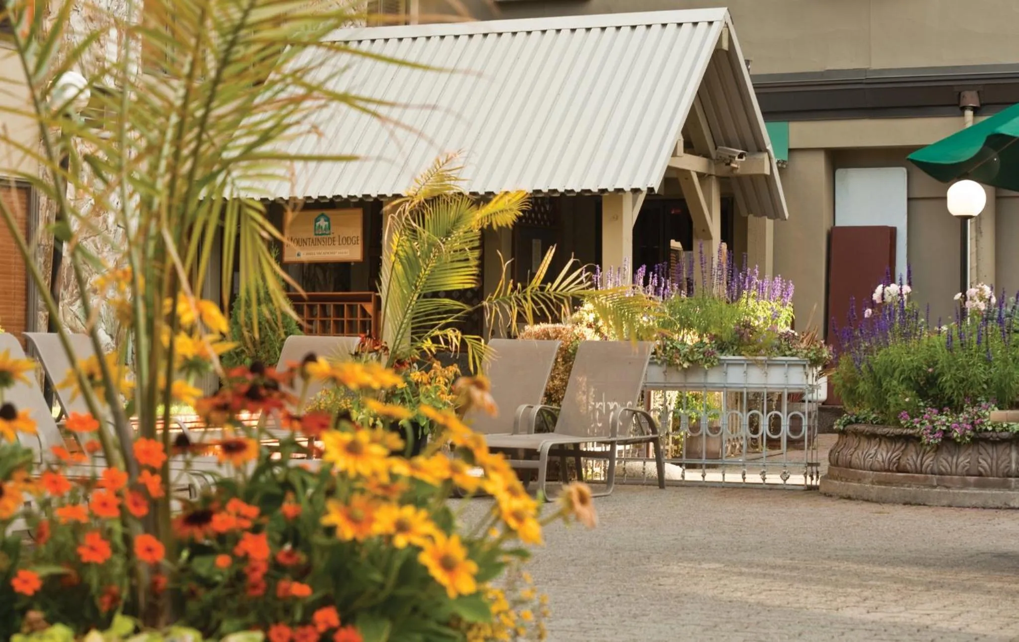 Property building in Mountainside Lodge