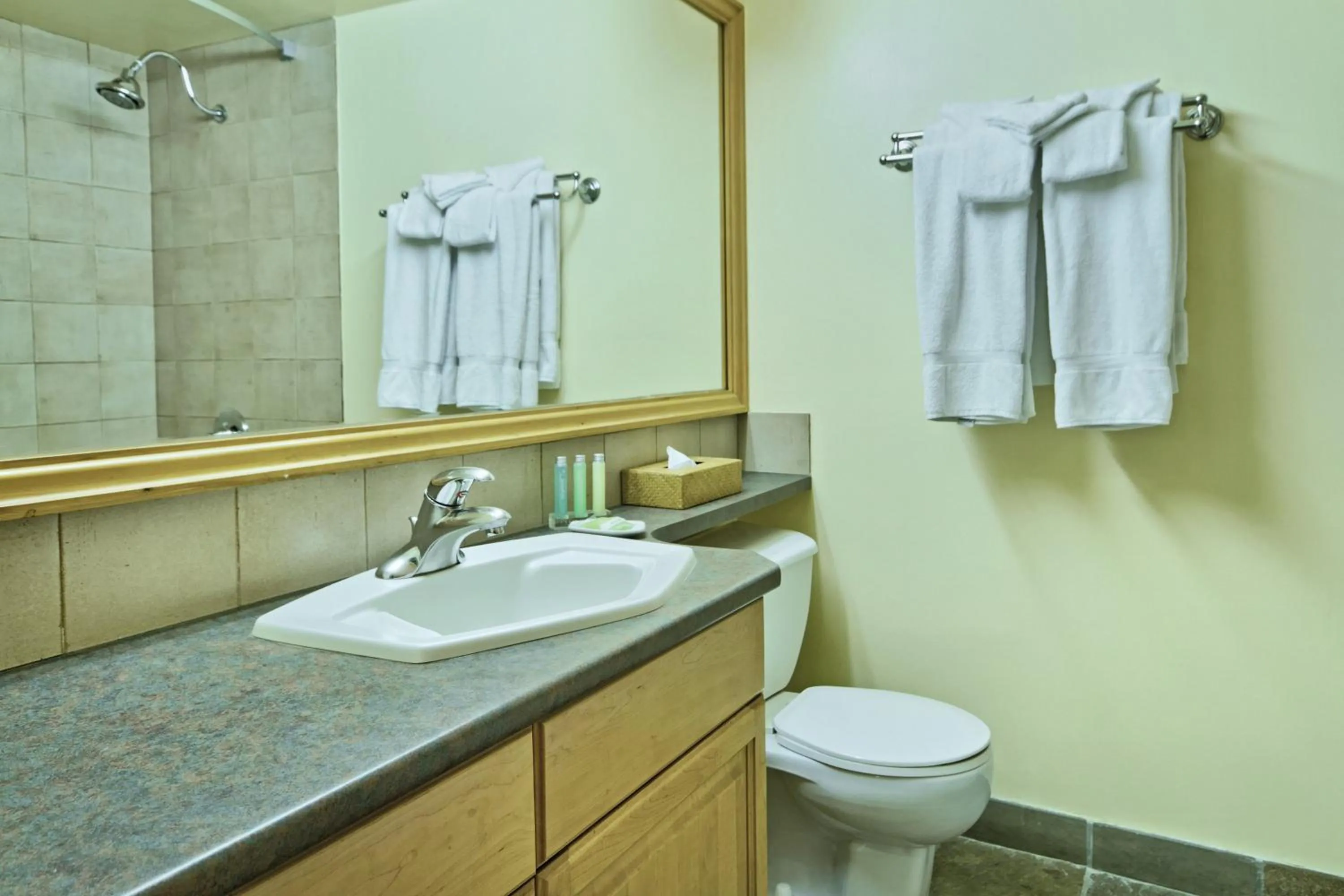 Photo of the whole room in Mountainside Lodge