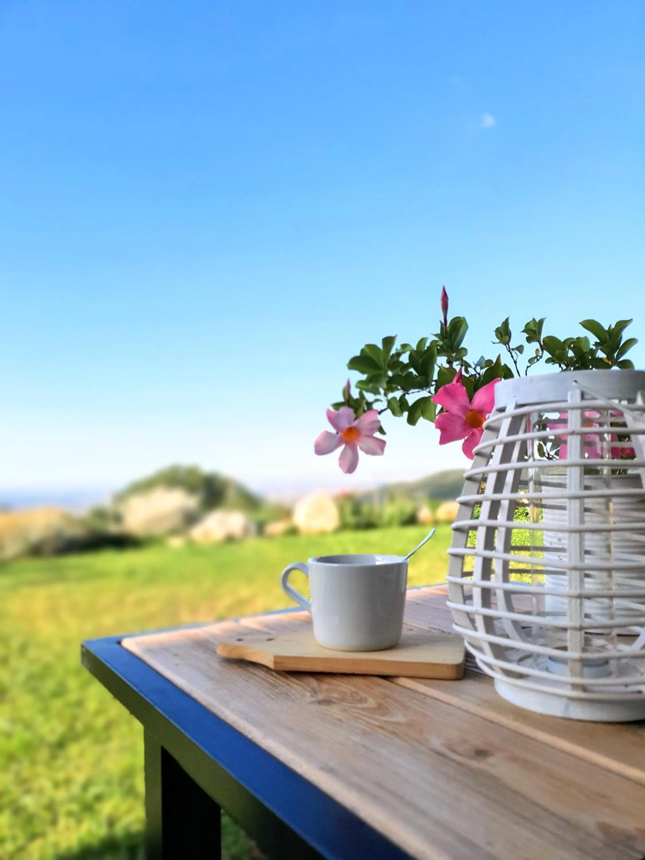 Natural landscape in B&B Cà Montemezzano
