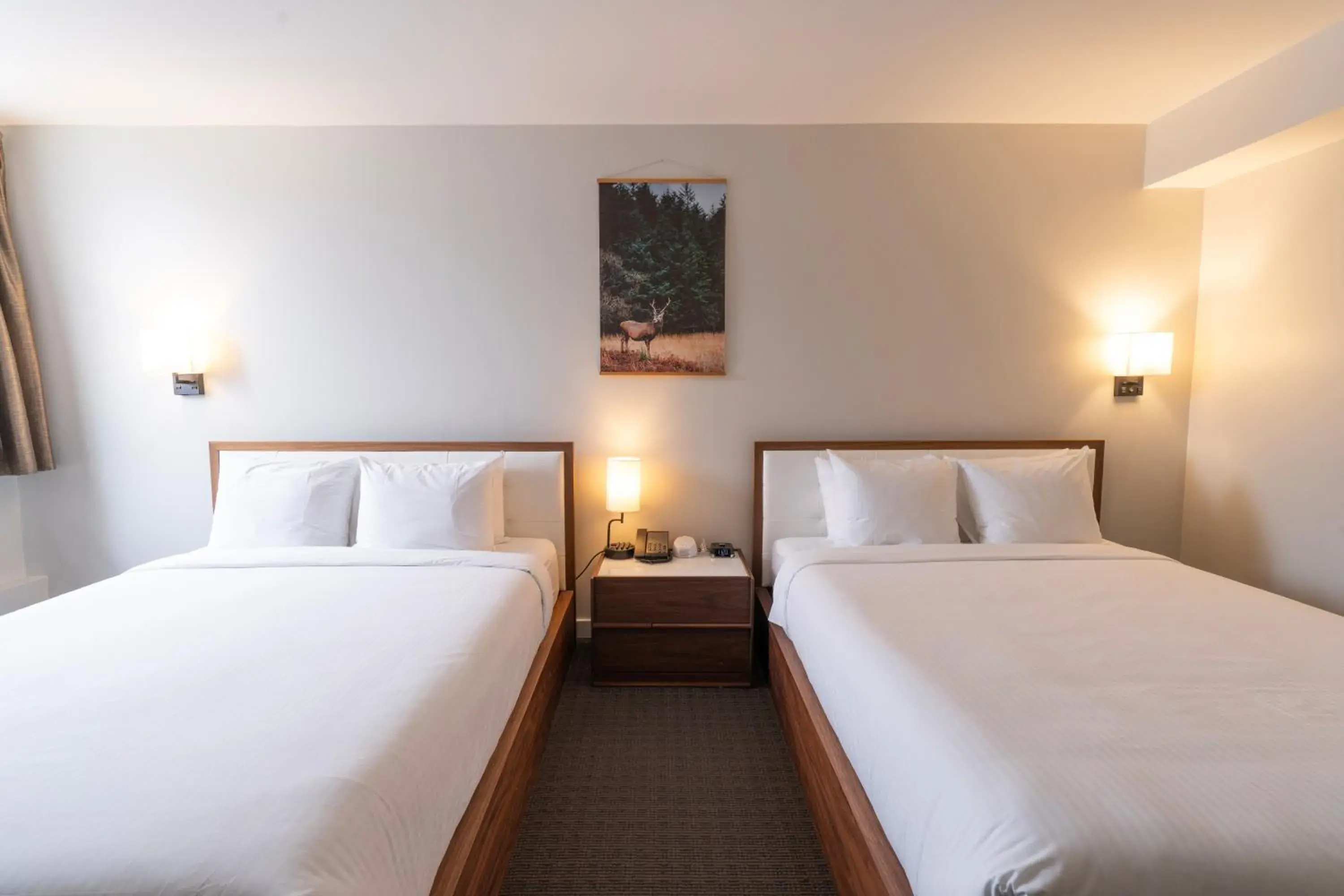 Village Double Queen in Adara Hotel Village Double Queen in Adara Hotel