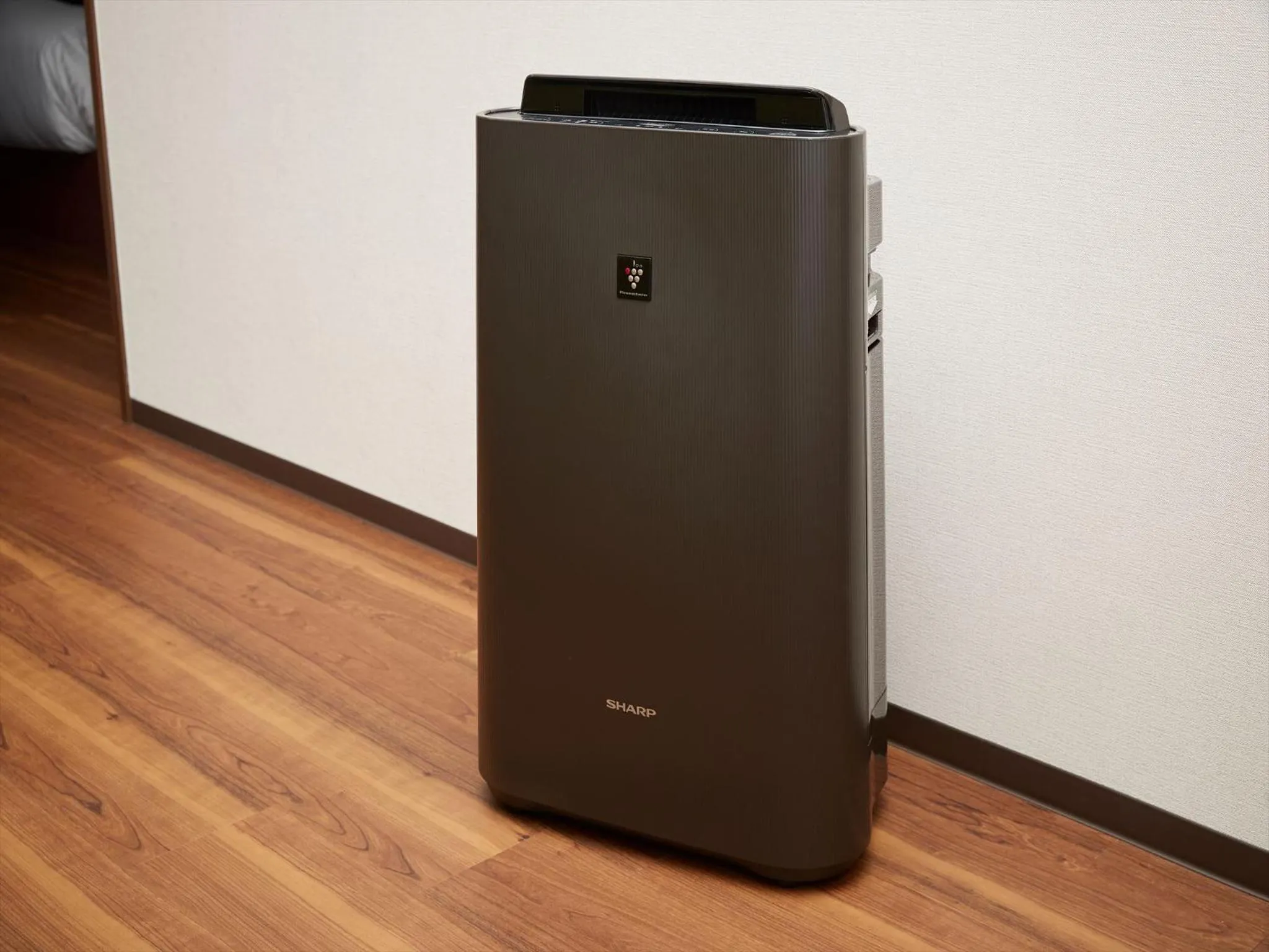 Photo of the whole room in THE GRAND HOTEL GINOWAN