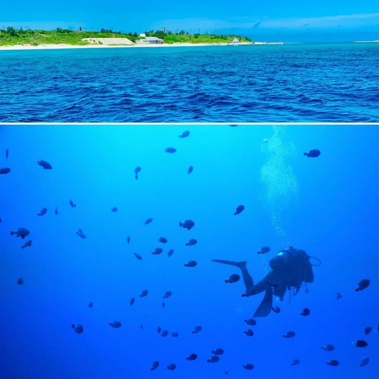 Diving in THE GRAND HOTEL GINOWAN