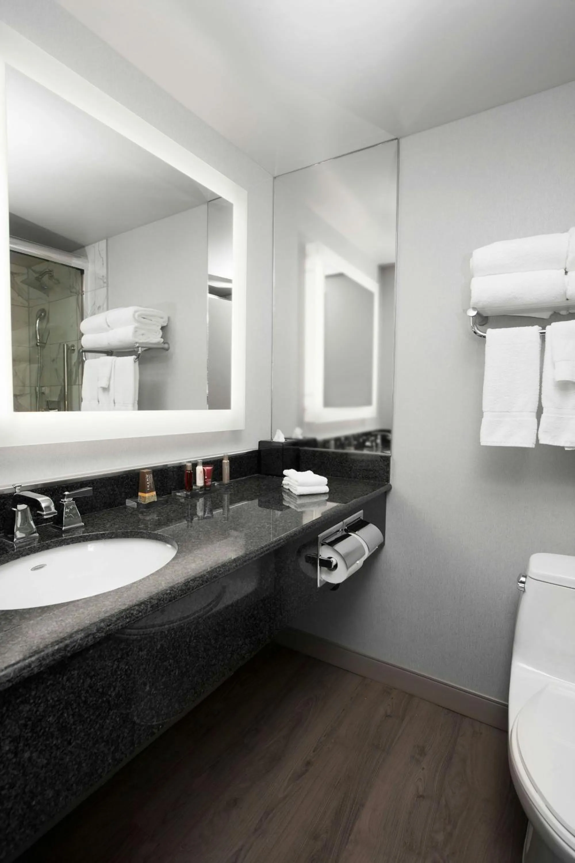 Bathroom in Niagara Falls Marriott on the Falls