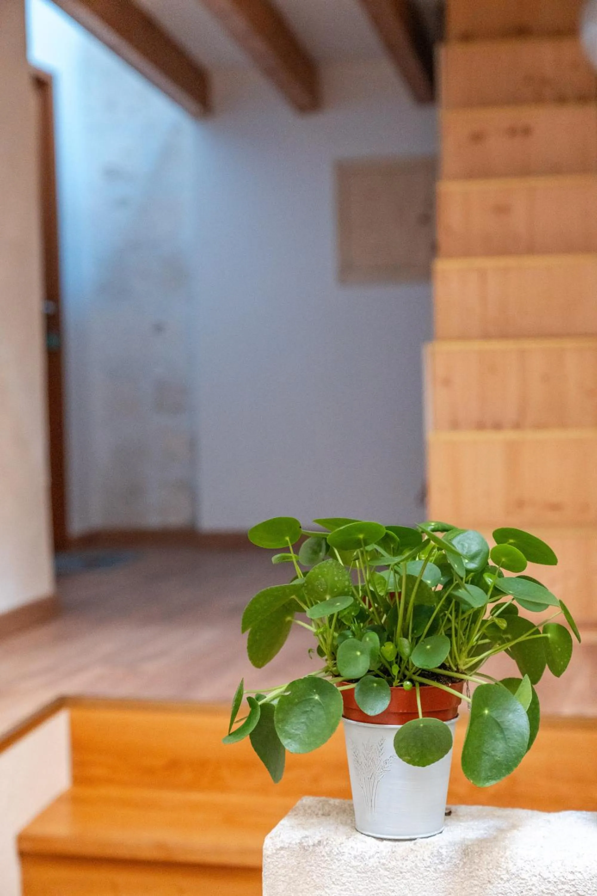 Les Greniers Du Château