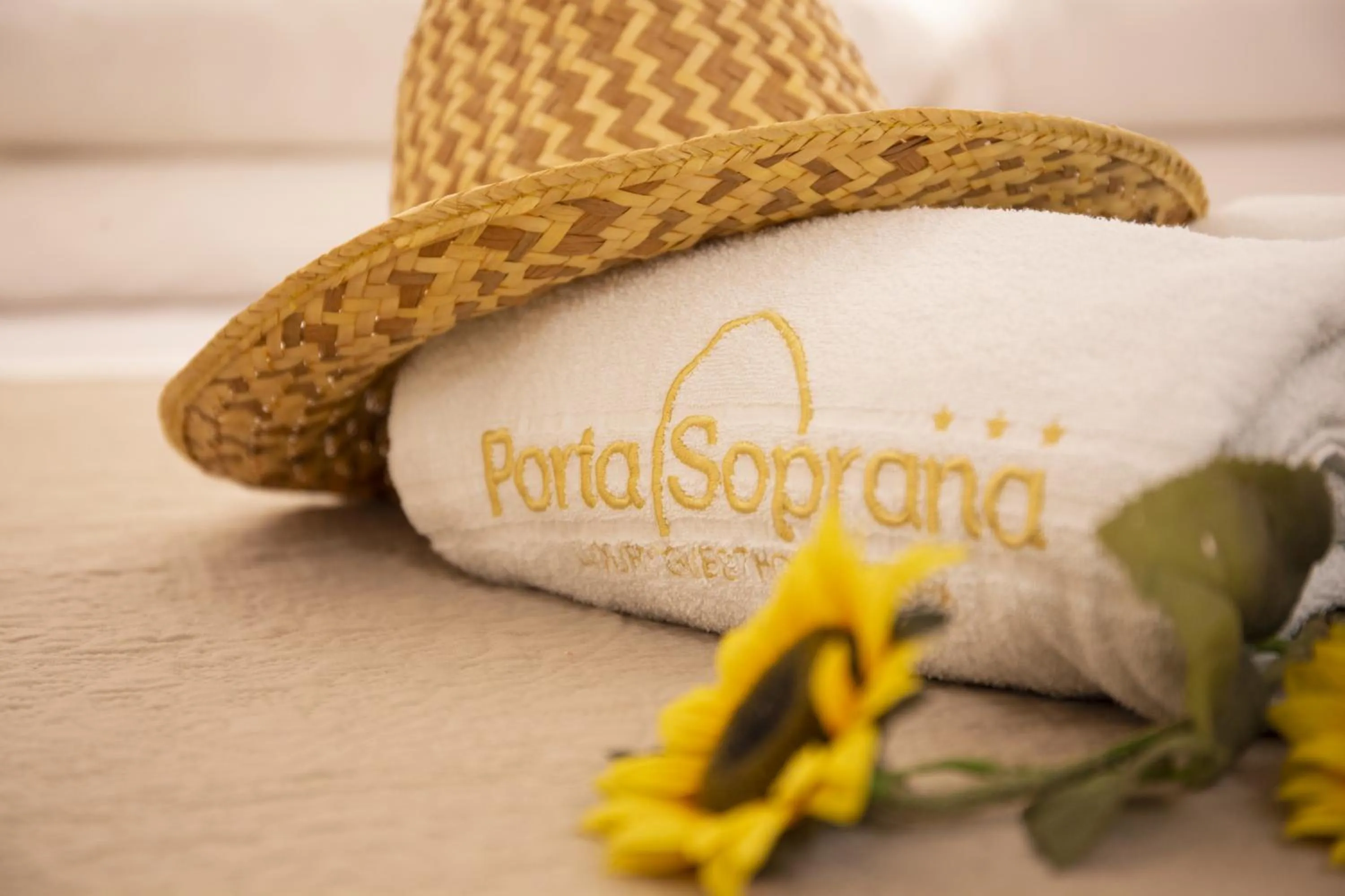 Decorative detail in PORTA SOPRANA luxury guest House & spa