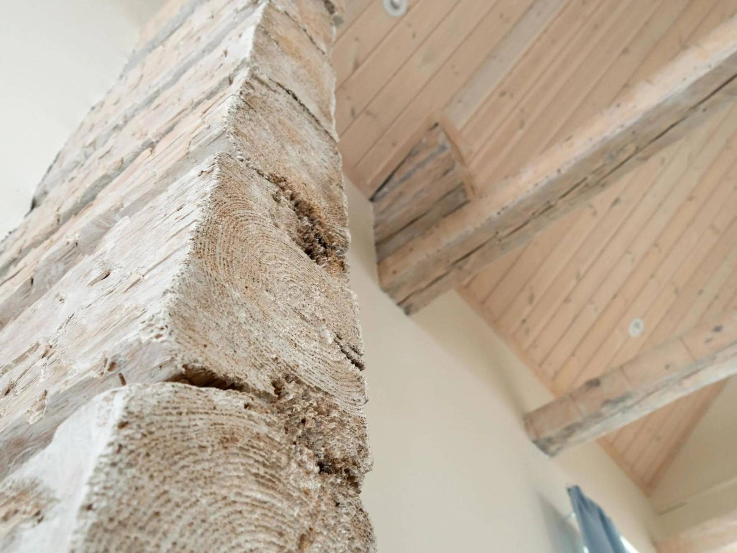 Living room in Pomona Living