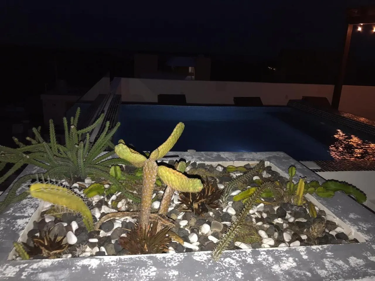 Pool view in Hotel Luna Roja Holbox