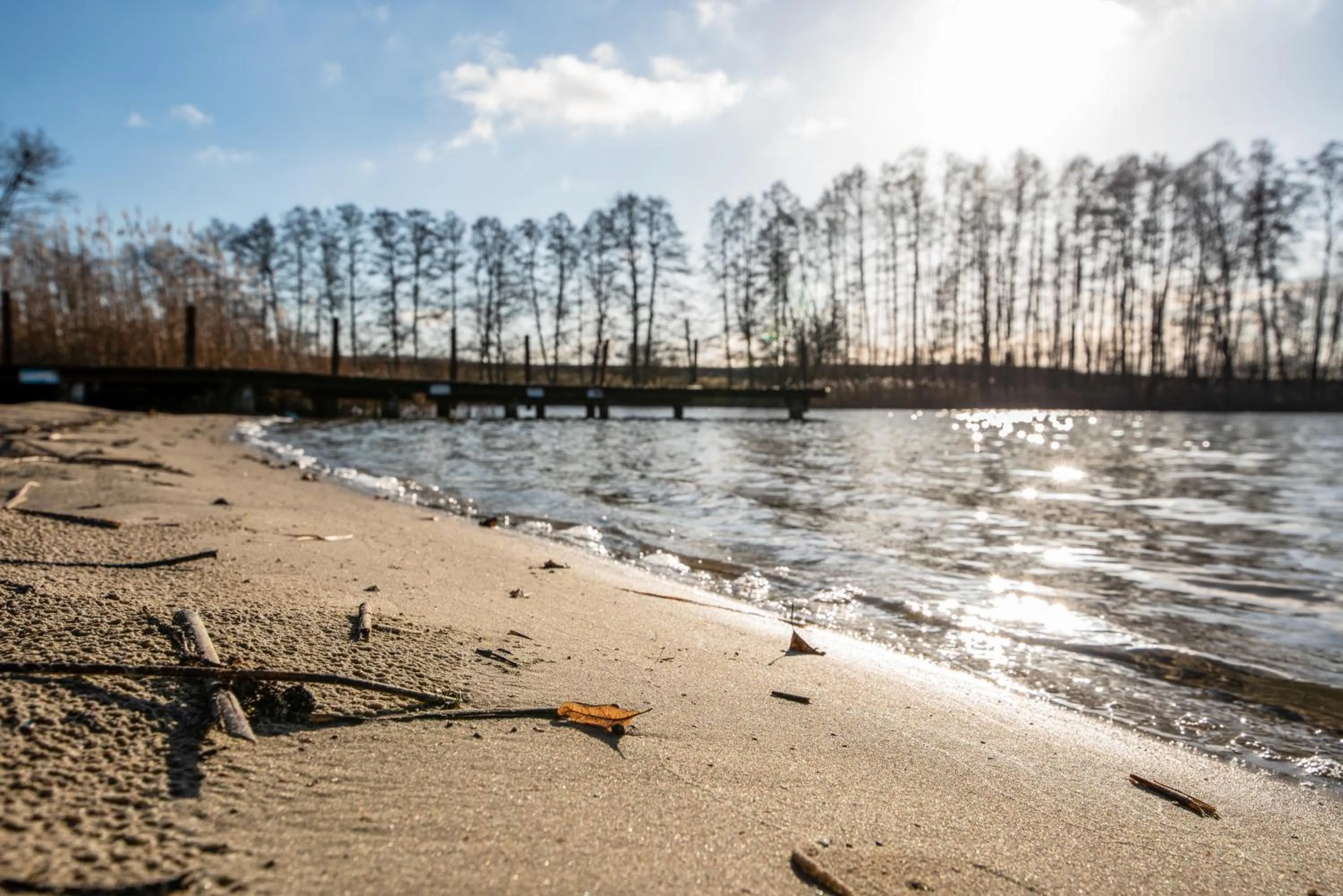 Natural landscape in Rezydencja Margonin