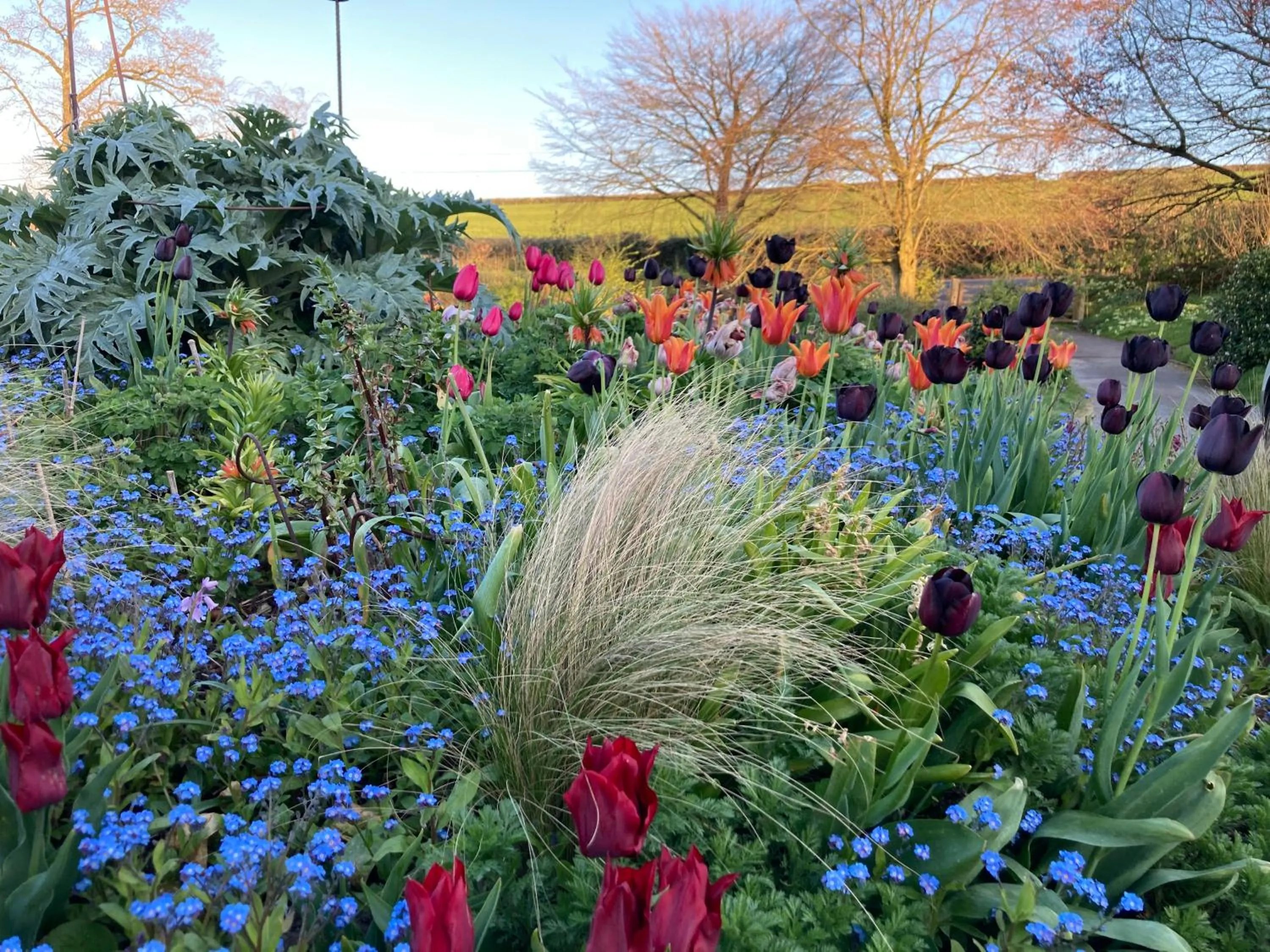 Garden in Frizenham Farmhouse